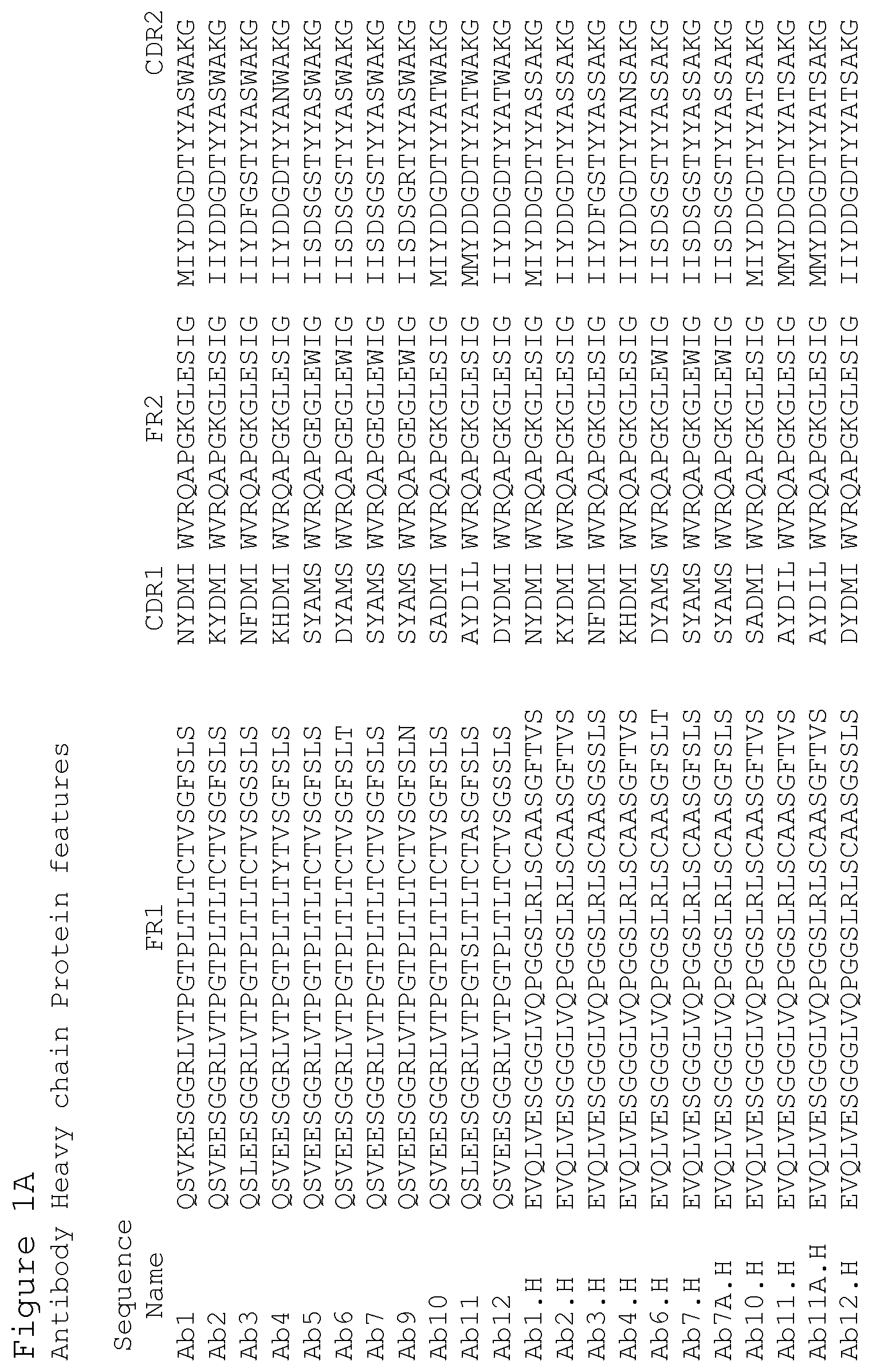 Patent US12351627 Figure 1 – Anti-ACTH antibodies and use thereof