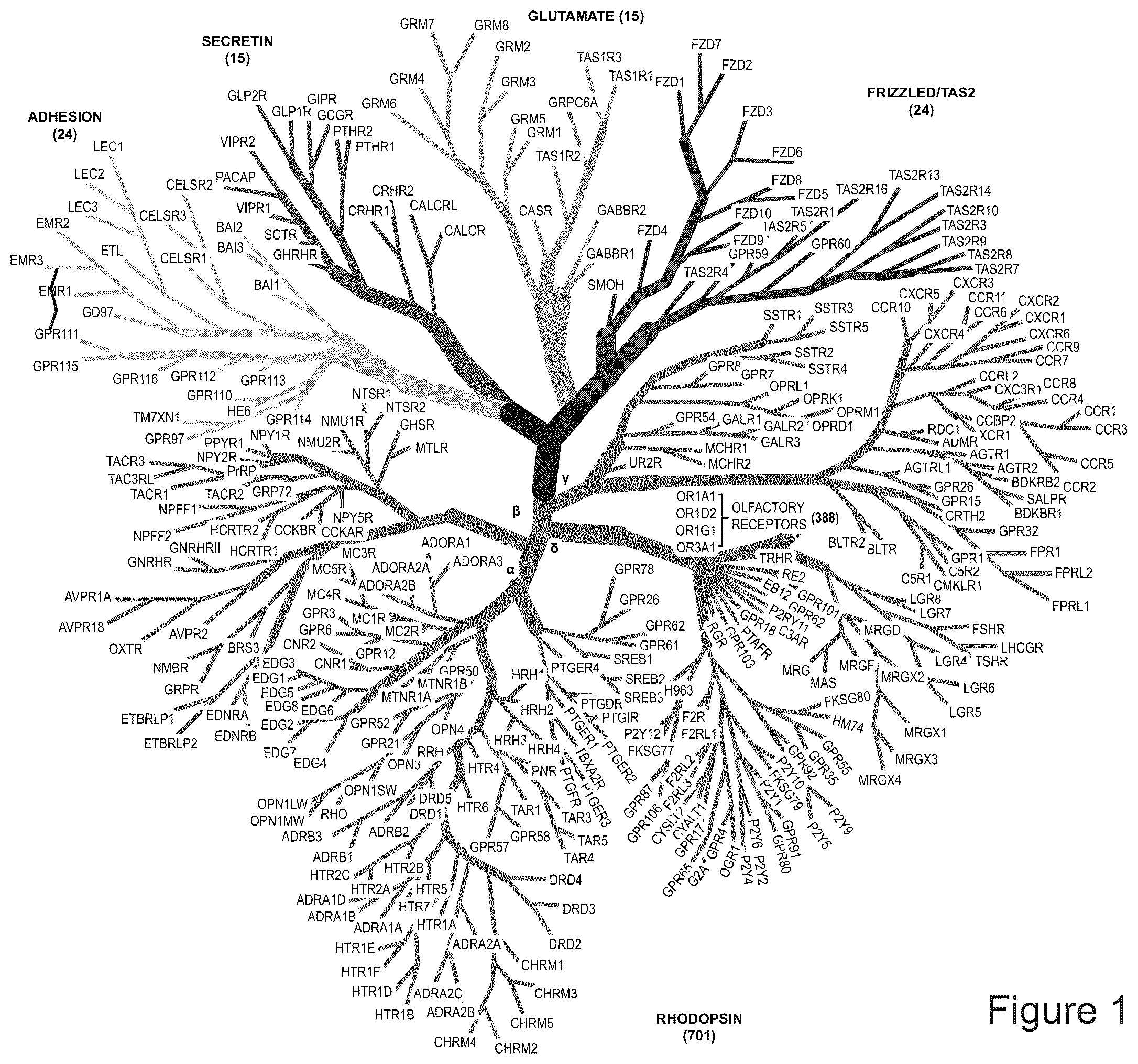 Patent US12351628 — Modified membrane spanning proteins and methods for the preparation and use thereof — Figure 1