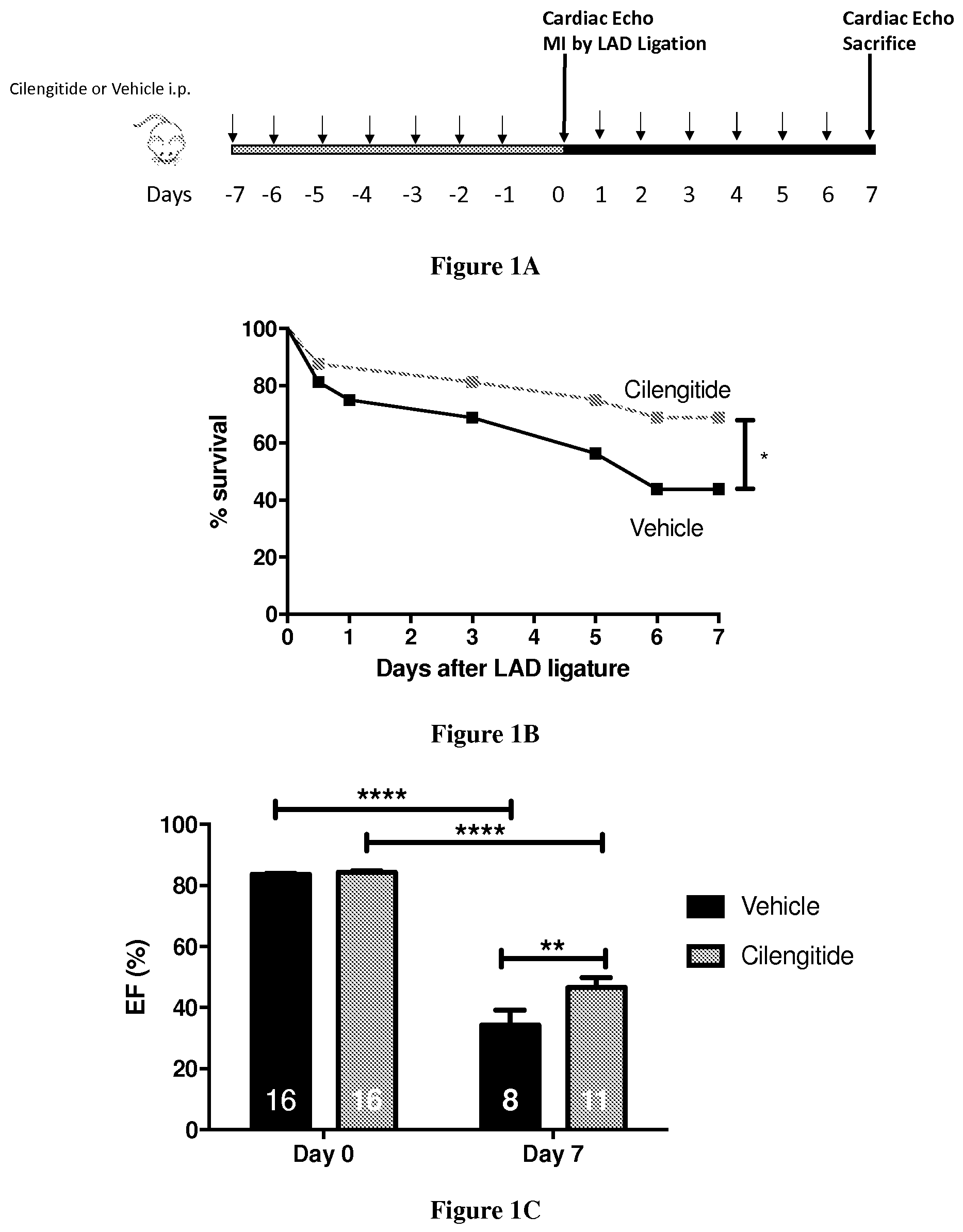 Patent US12351634 — Use of cilengitide for ameliorating cardiac fibrosis occurring in response to myocardial infarction — Figure 1