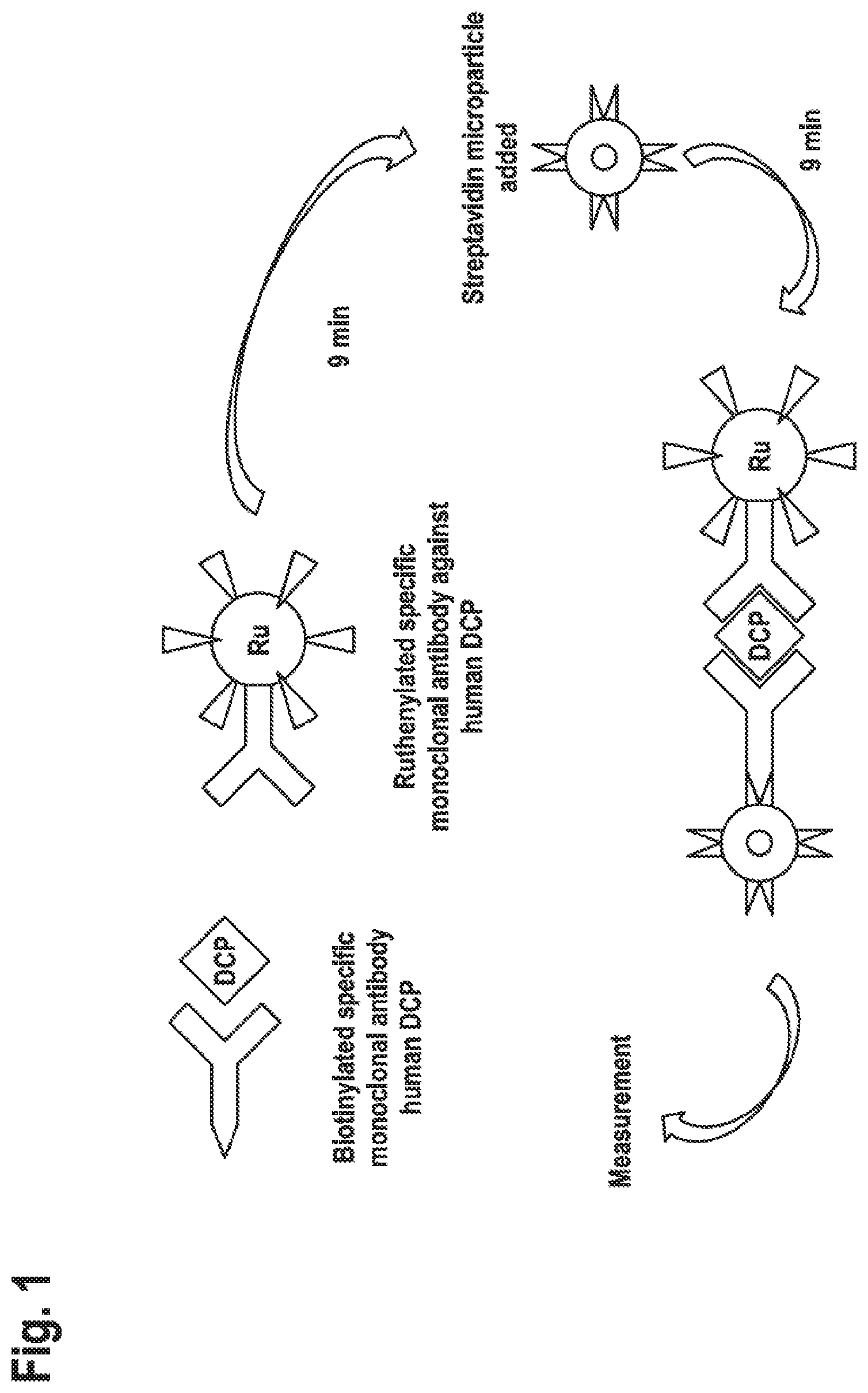 Patent US12351647 — Binding agent and assay for PIVKA — Figure 1