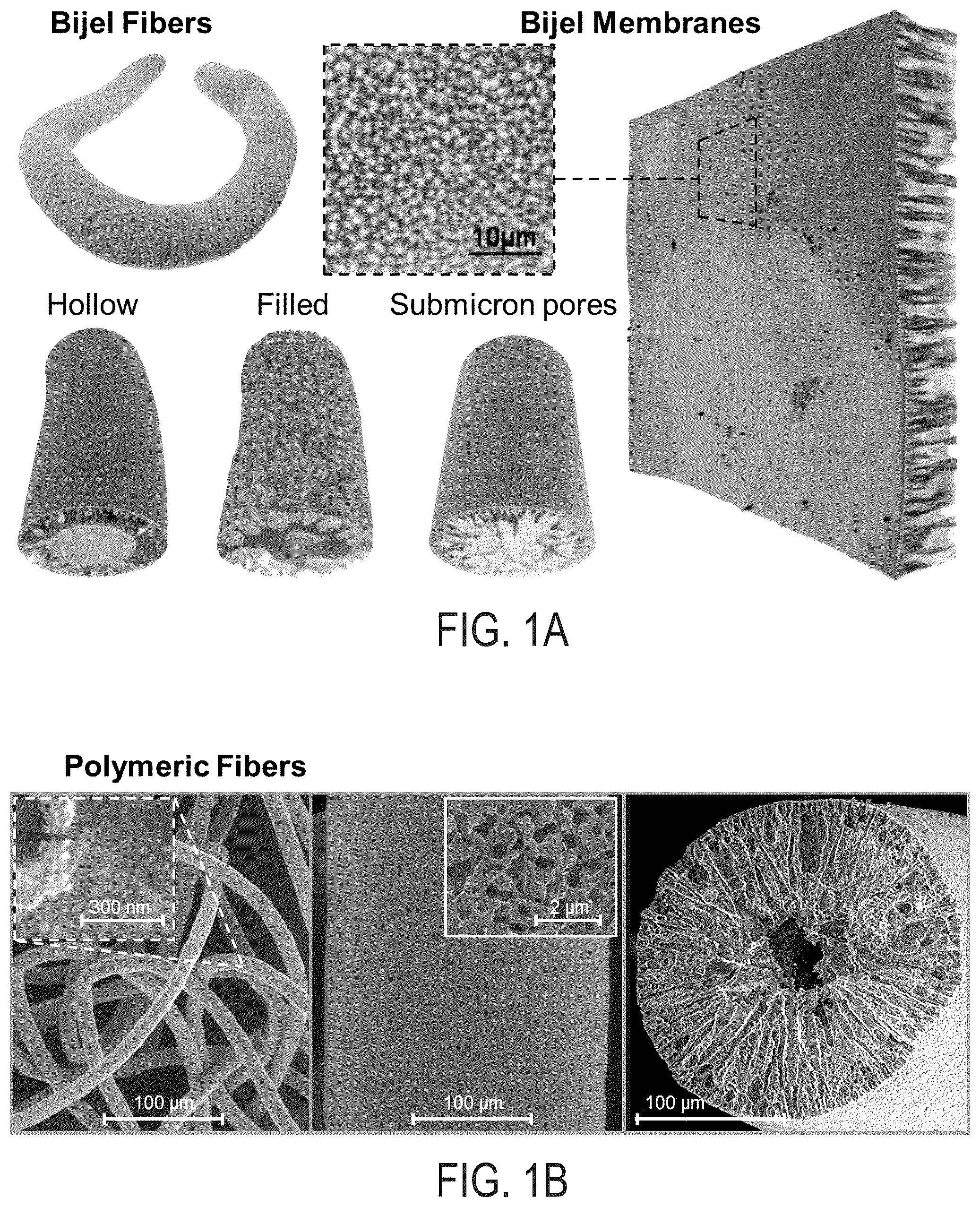 Patent US12351712 — Bijels and methods of making the same — Figure 1