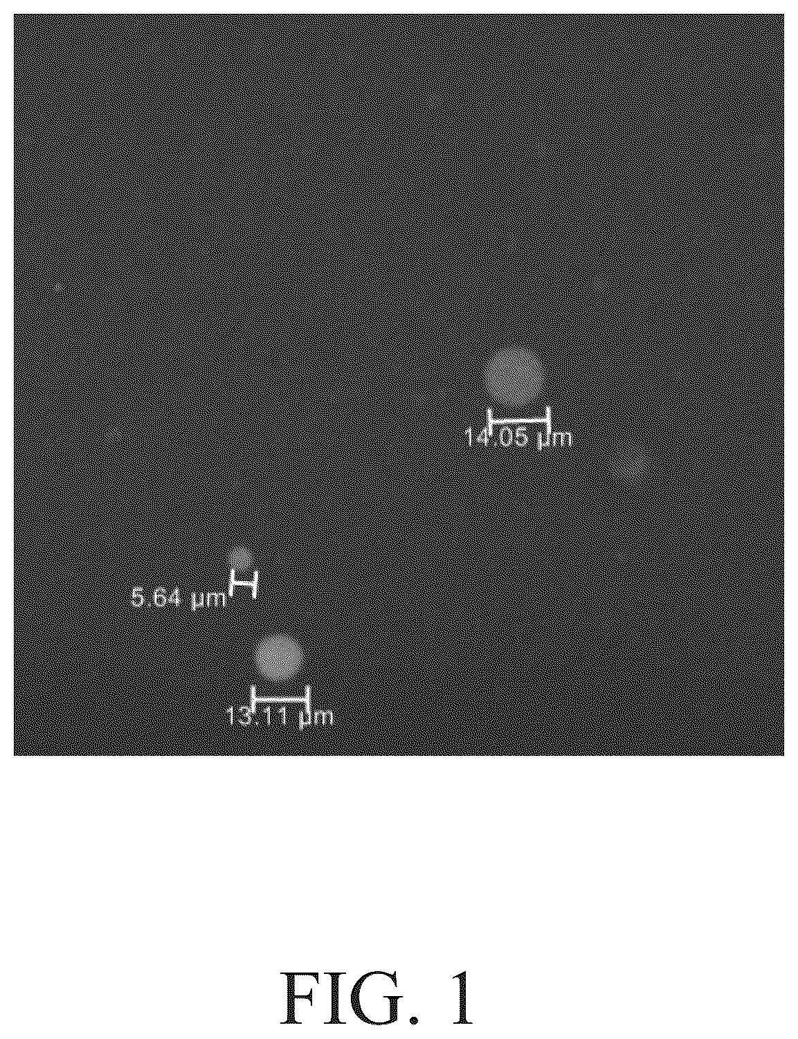 Patent US12351782 — Liquid treatment compositions comprising delivery particles based on plant rosin material — Figure 1