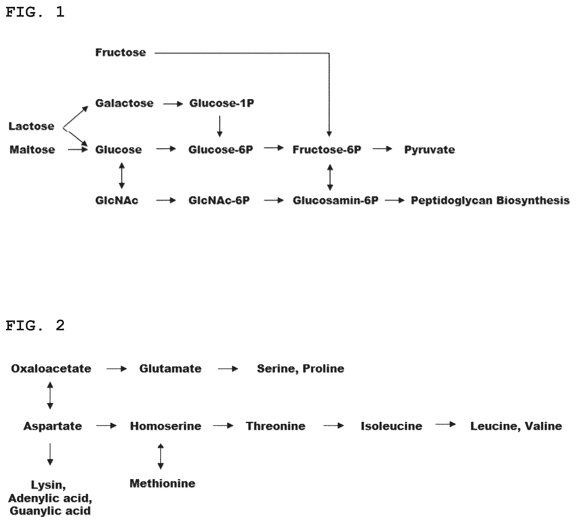 Patent US12351794 — Medium supplement for high-yield industrial culture of fastidious anaerobes and medium composition containing the same — Figure 1