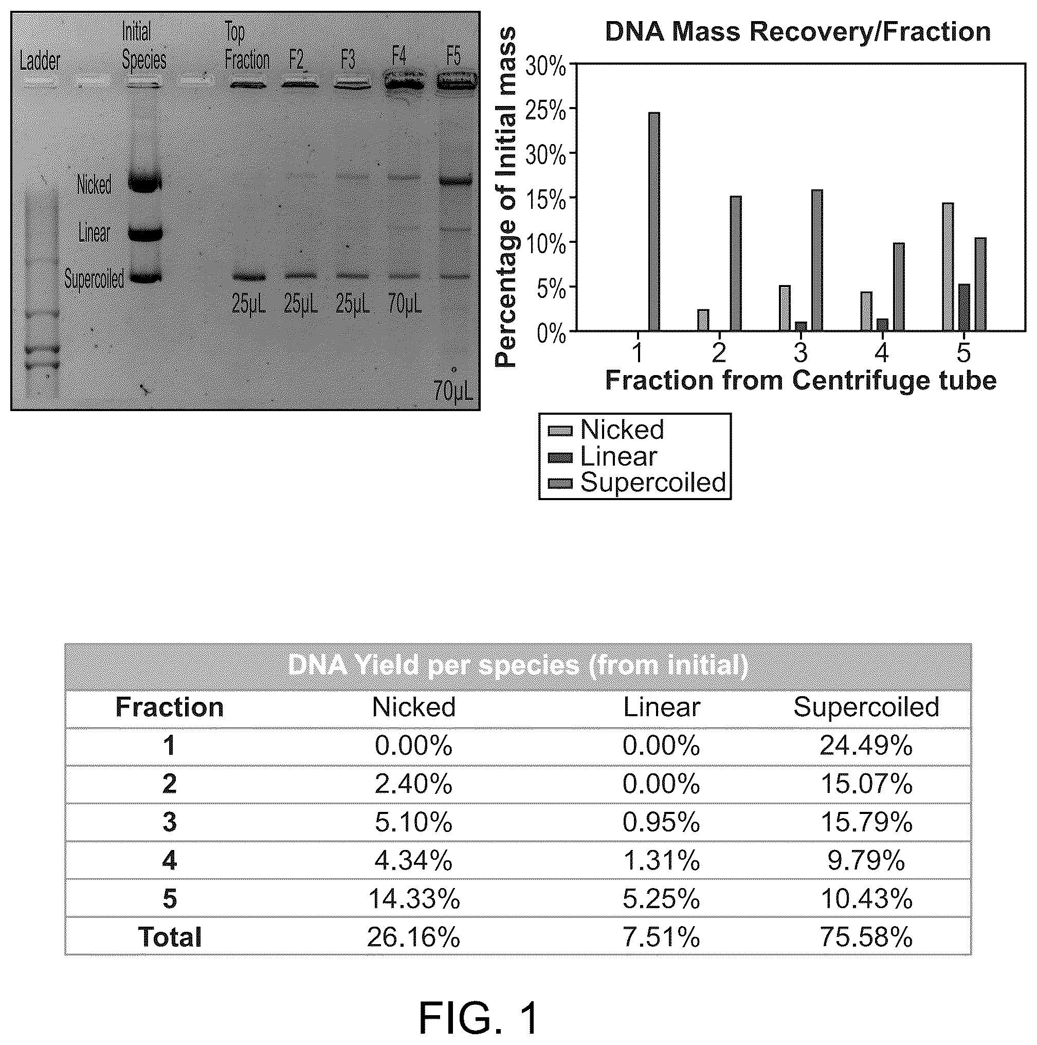 Patent US12351796 — Methods for rapid separation and purification of DNA topological forms — Figure 1
