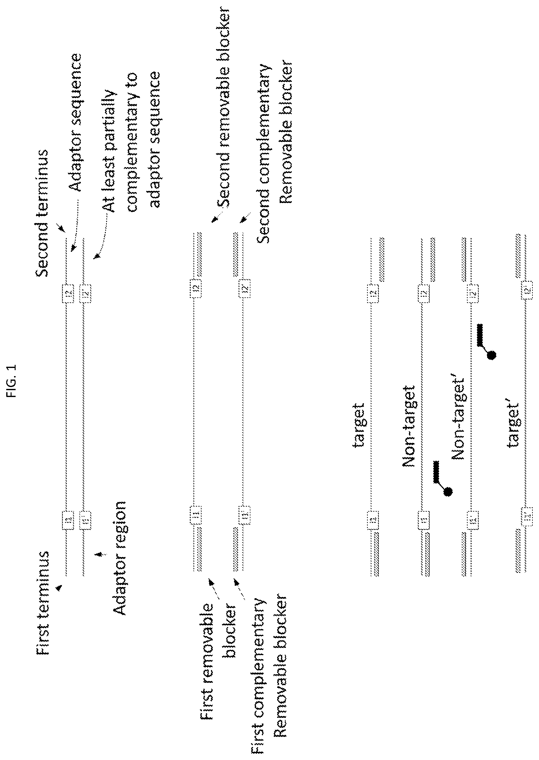 Patent US12351798 — Methods for depletion of high-copy sequences in multiplexed whole genome sequencing libraries — Figure 1