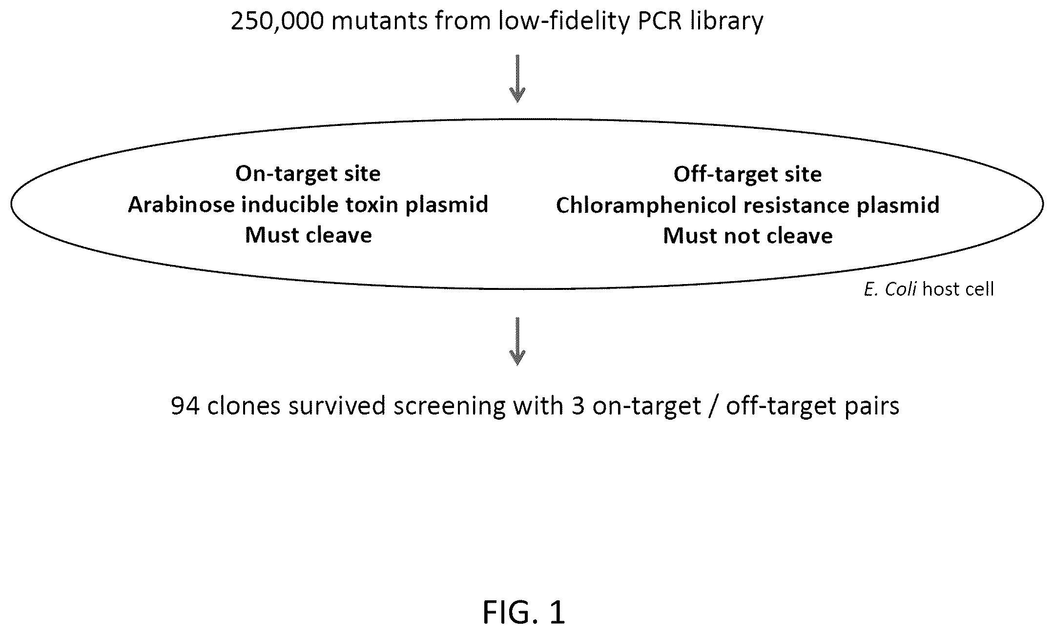 Patent US12351799 — S. pyogenes CAS9 mutant genes and polypeptides encoded by same — Figure 1
