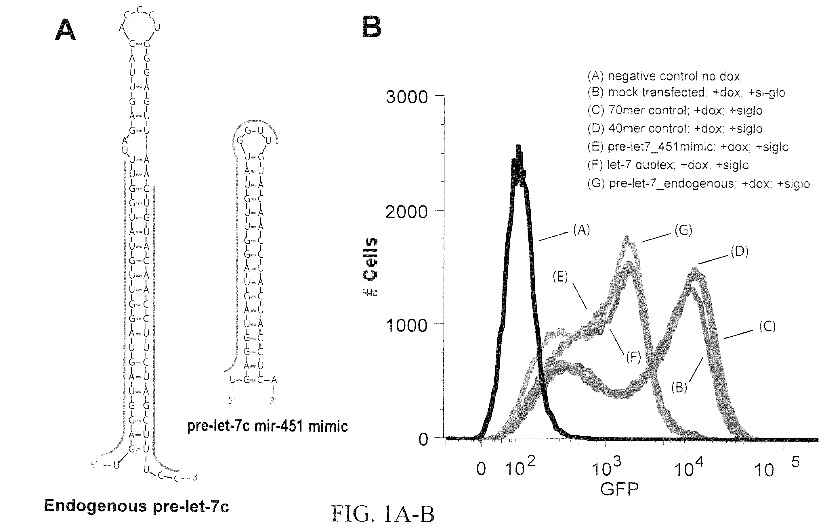 Patent US12351802 — Structurally designed shRNAs — Figure 1