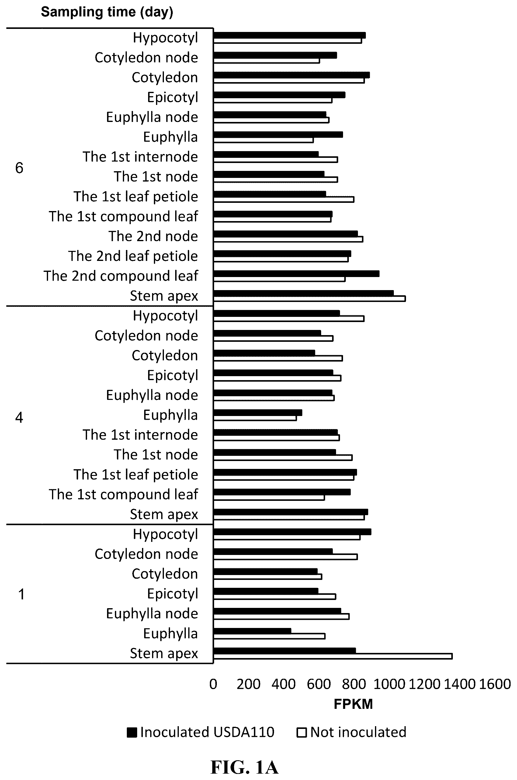 Patent US12351808 — Method for promoting expression of foreign gene in soybean, Arabidopsis or tobacco using gene promoter PRPS28 or PRPS28-1 — Figure 1