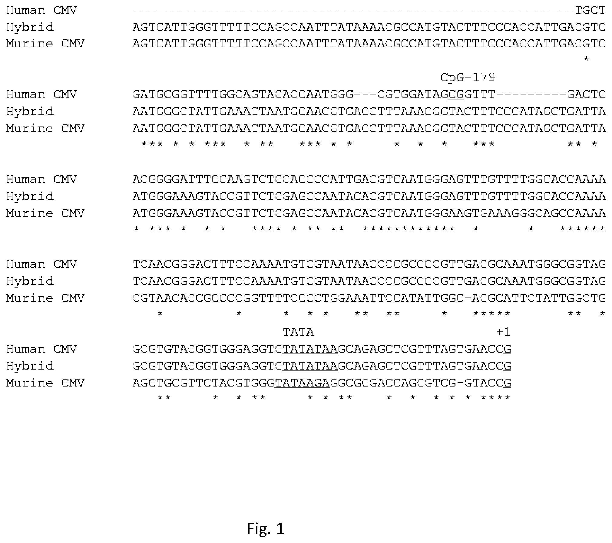 Patent US12351813 — Tetracycline-inducible expression system — Figure 1