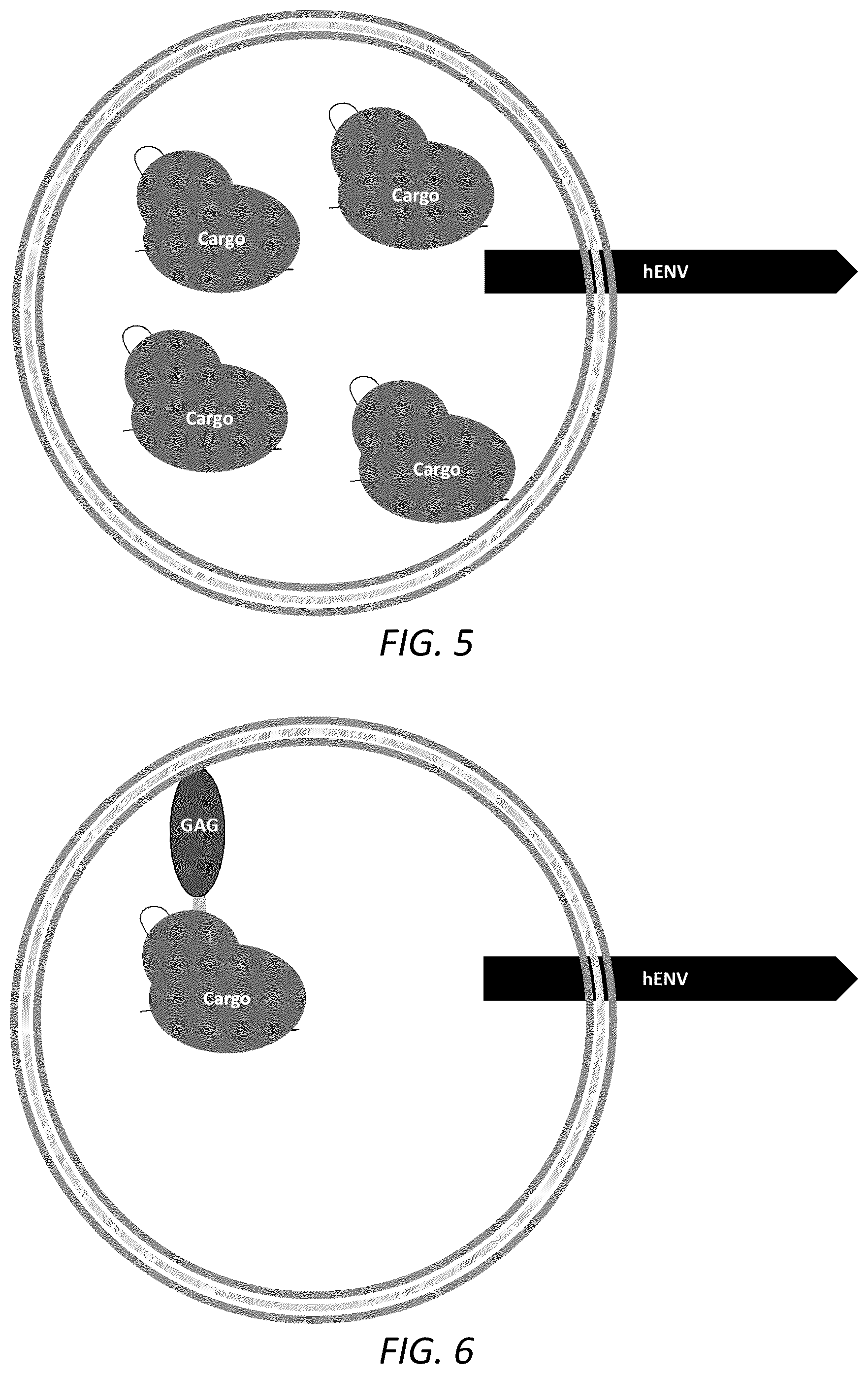 Patent US12351814 Figure 5 – Engineered human-endogenous virus-like particles and methods of use thereof for delivery to cells