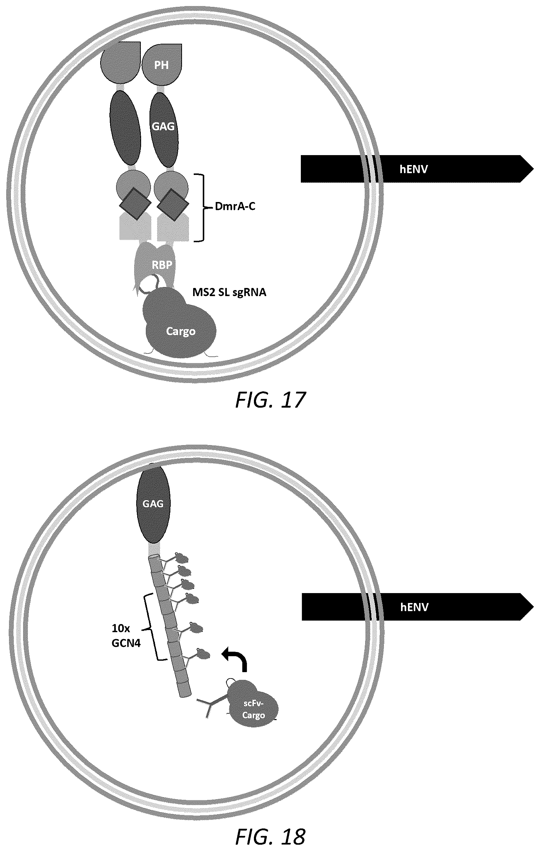 Patent US12351814 Figure 11 – Engineered human-endogenous virus-like particles and methods of use thereof for delivery to cells