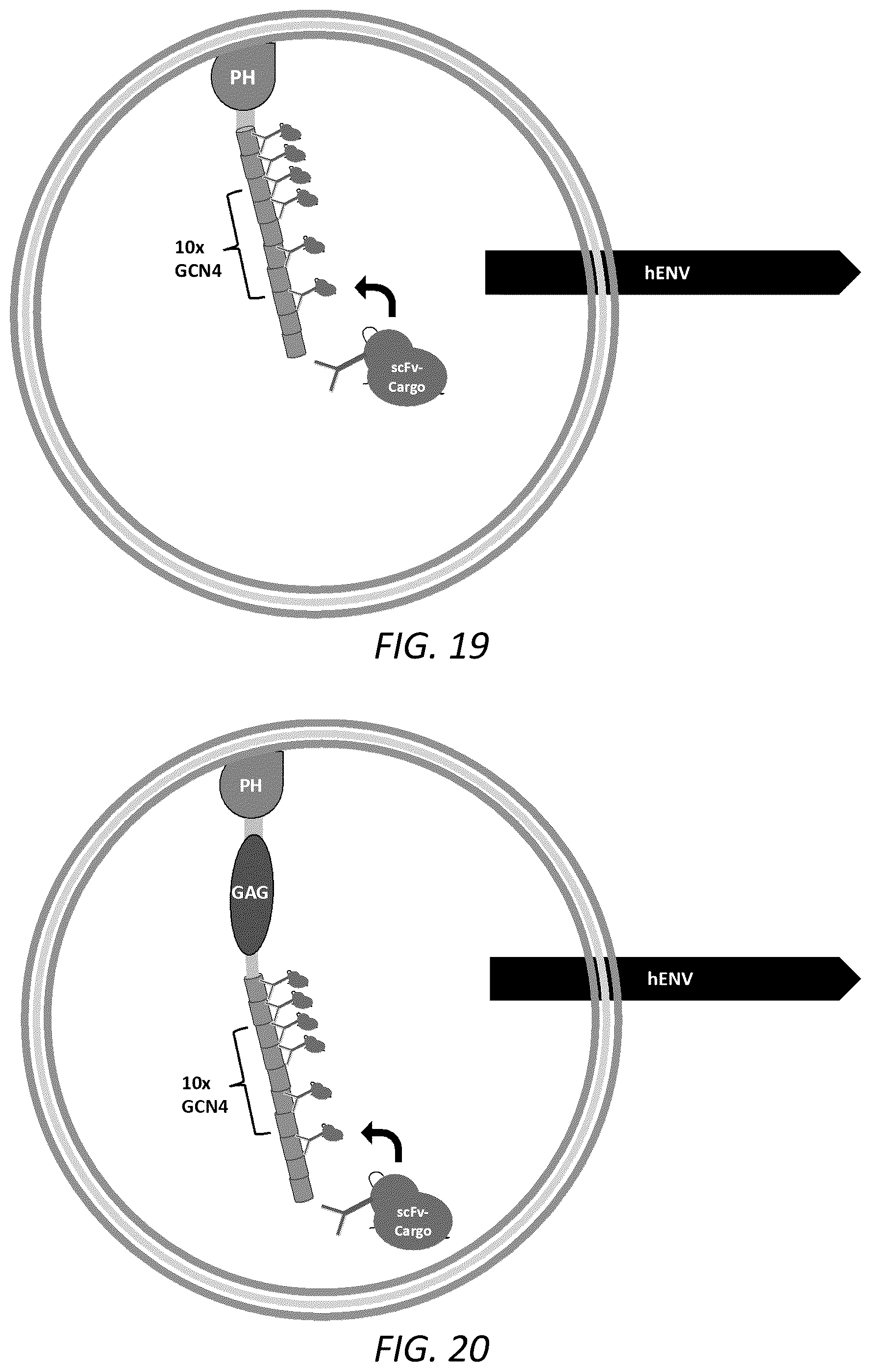 Patent US12351814 Figure 12 – Engineered human-endogenous virus-like particles and methods of use thereof for delivery to cells