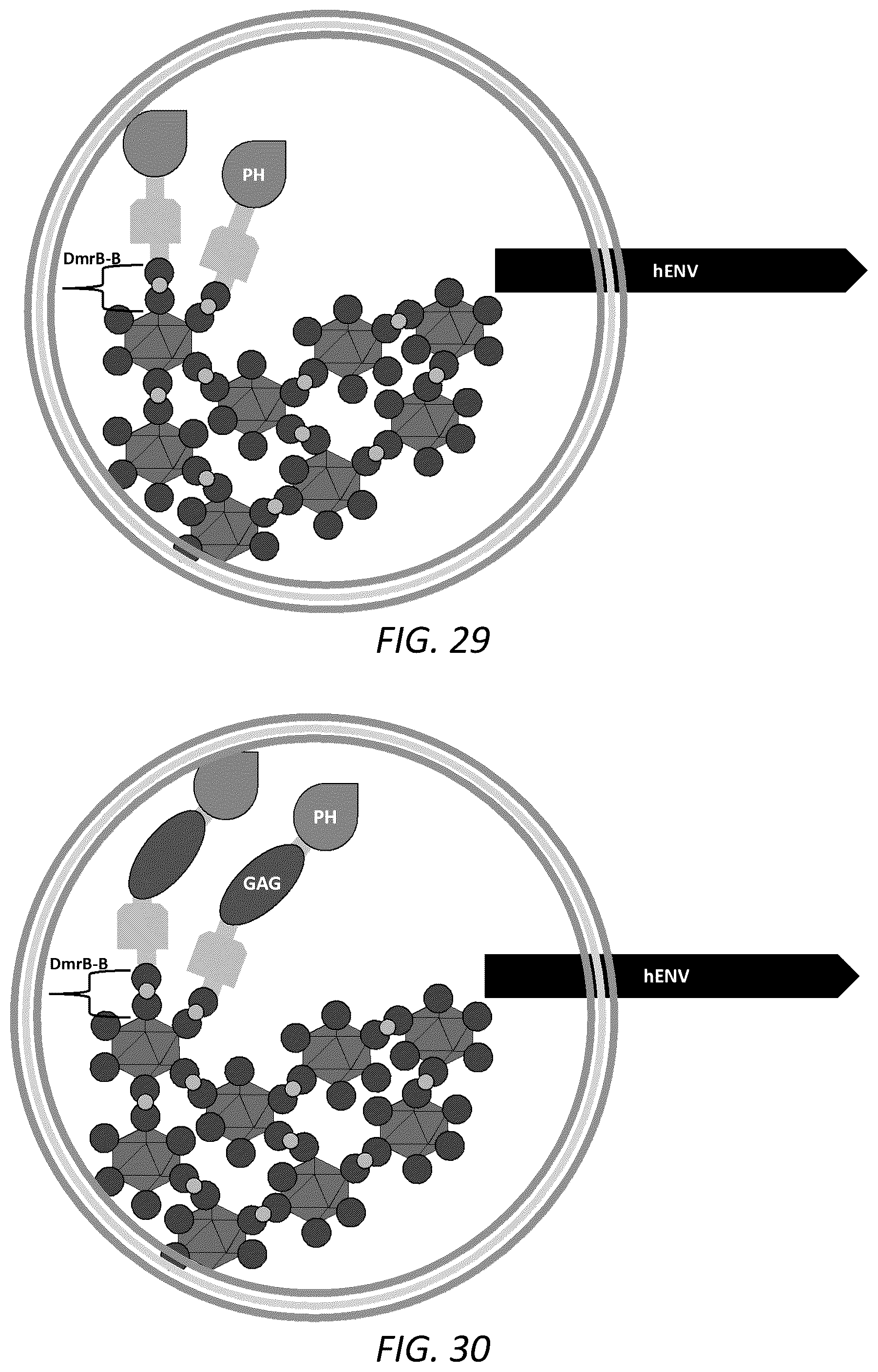 Patent US12351814 Figure 17 – Engineered human-endogenous virus-like particles and methods of use thereof for delivery to cells