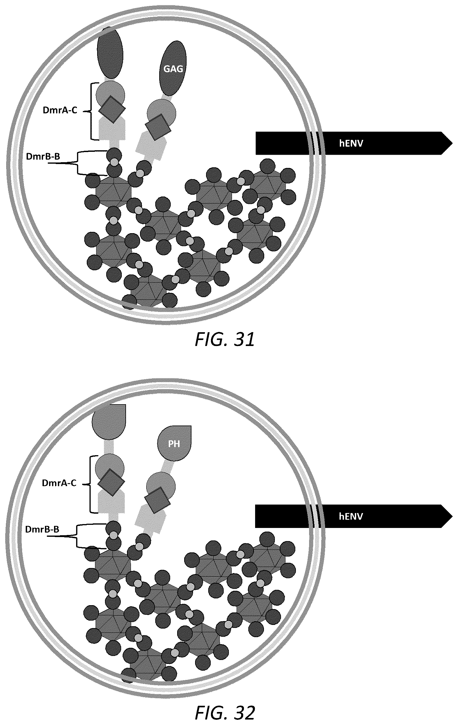 Patent US12351814 Figure 18 – Engineered human-endogenous virus-like particles and methods of use thereof for delivery to cells
