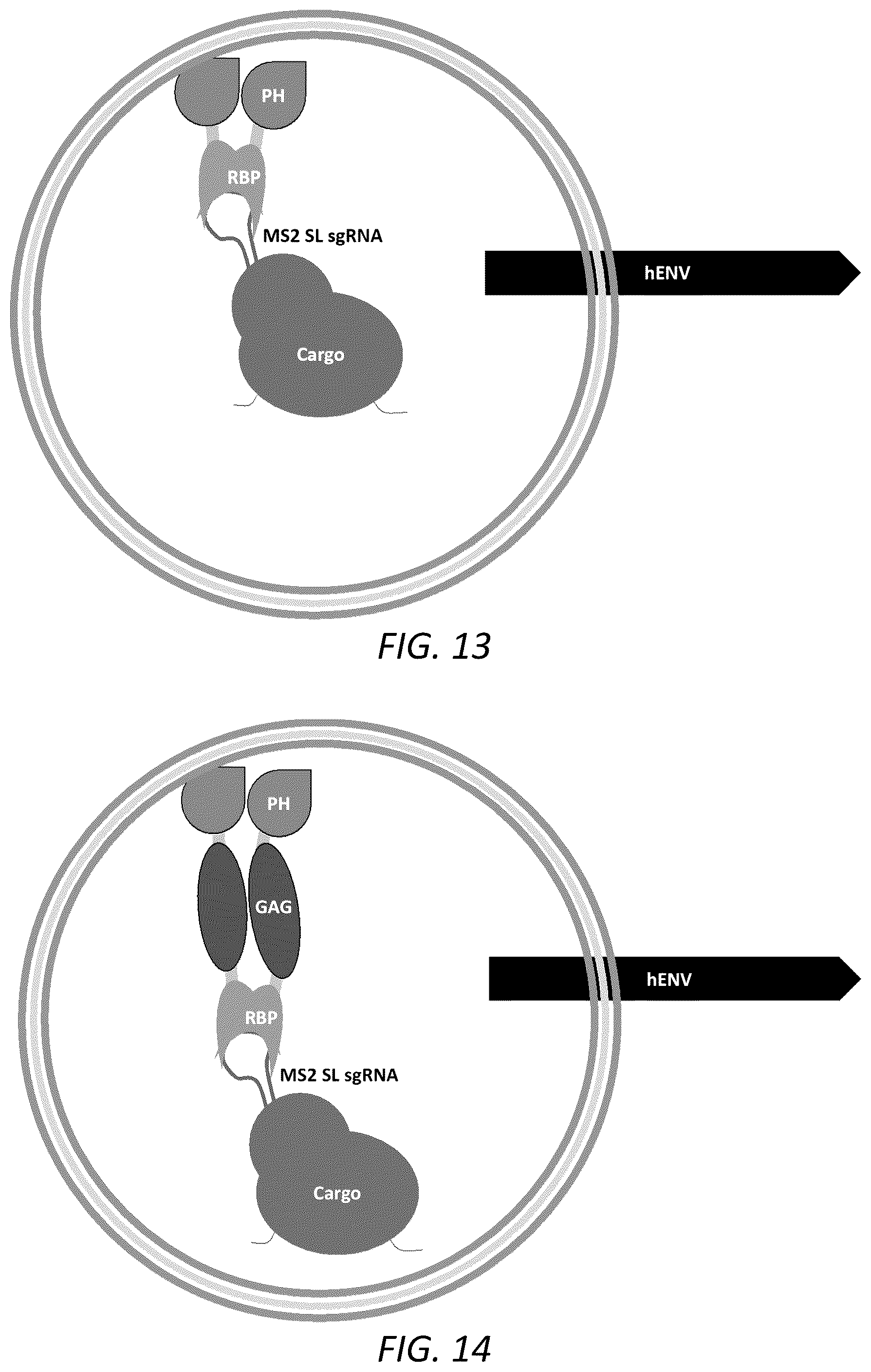 Patent US12351815 Figure 9 – Engineered human-endogenous virus-like particles and methods of use thereof for delivery to cells