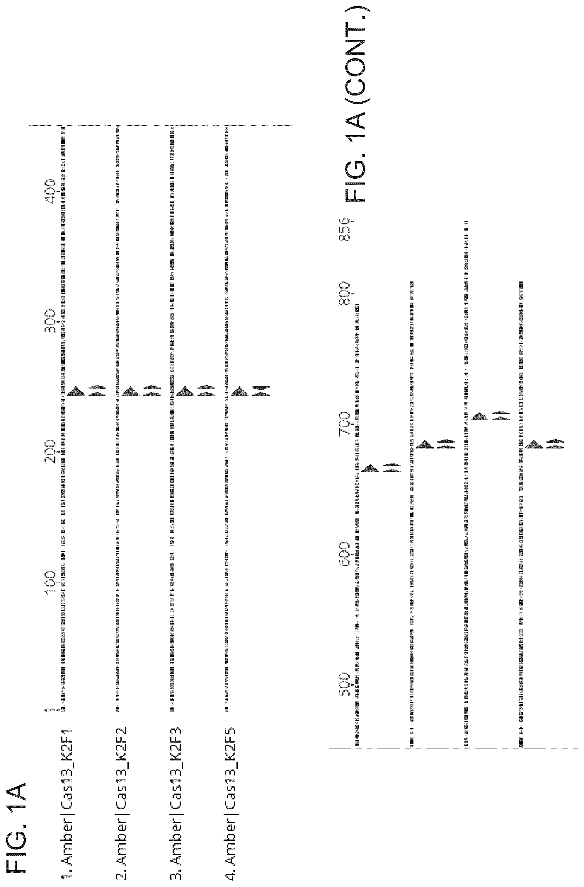 Patent US12351818 Figure 1 – Gene-modifying endonucleases