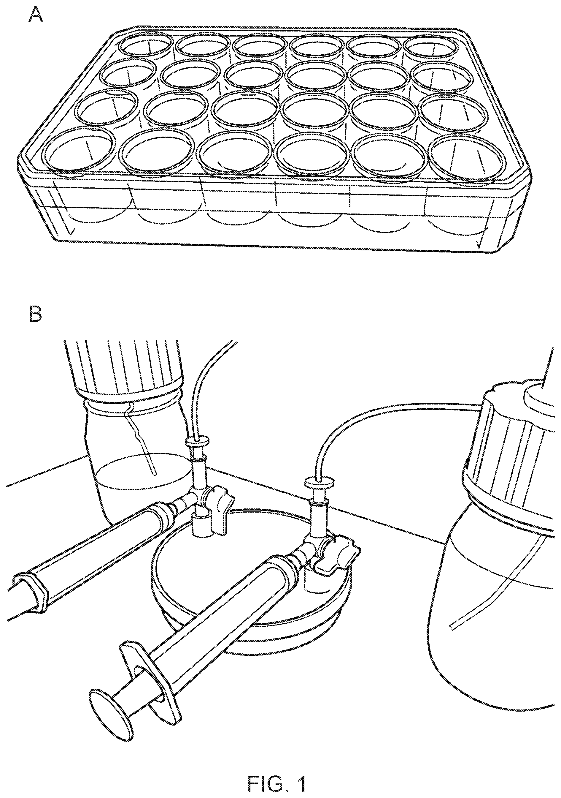 Patent US12351820 — Methods for culturing organoids — Figure 1