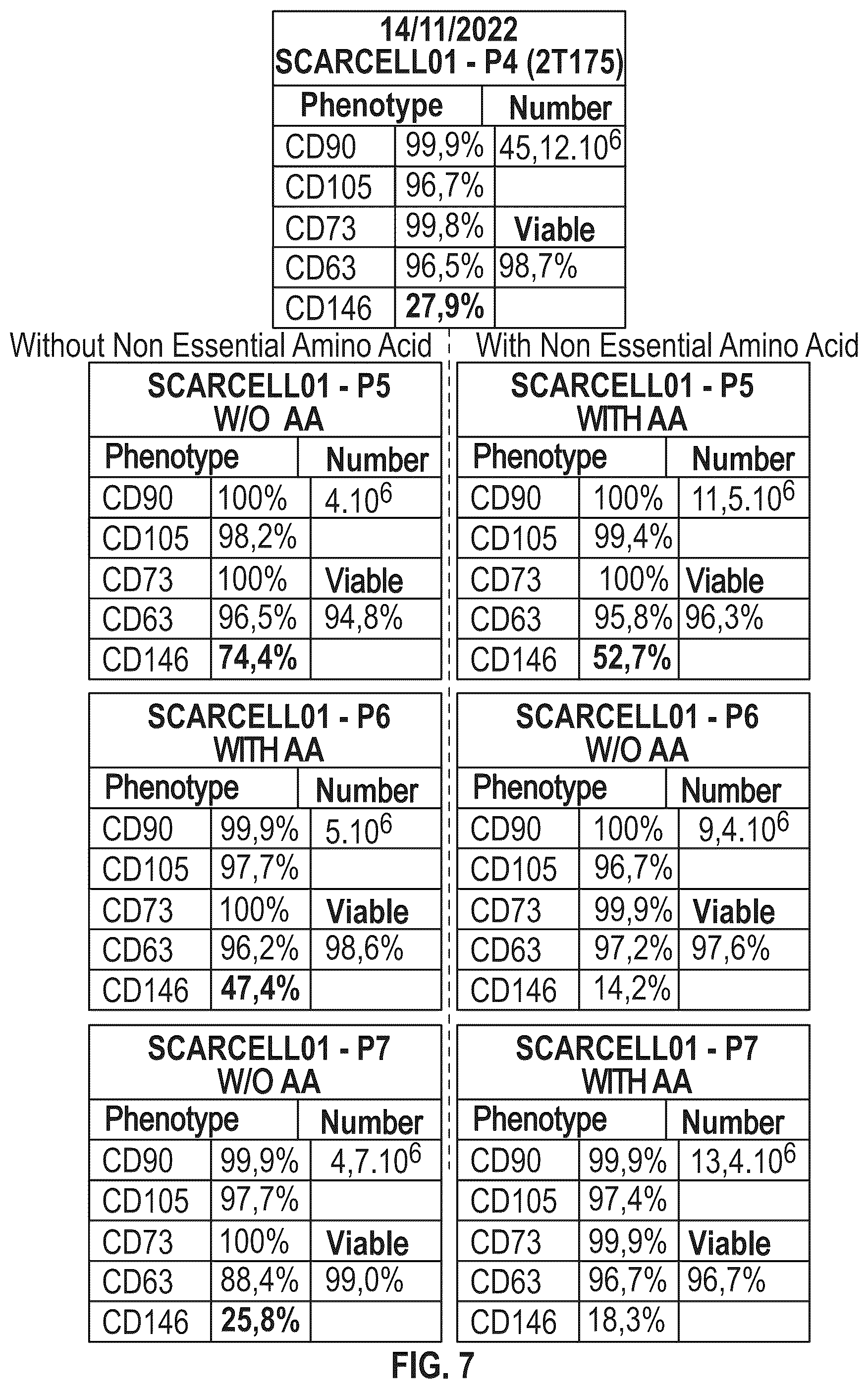 Patent US12351823 Figure 5 – Mammalian cell population and medicaments for cell therapies in equines and improved cell cultivation methods