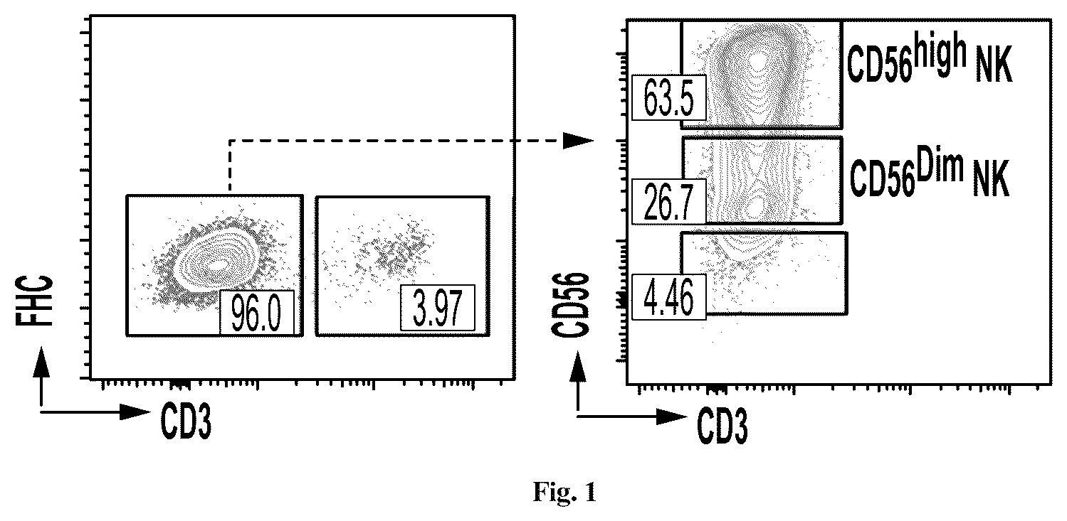 Patent US12351824 — Method for producing natural killer cells from pluripotent stem cells — Figure 1