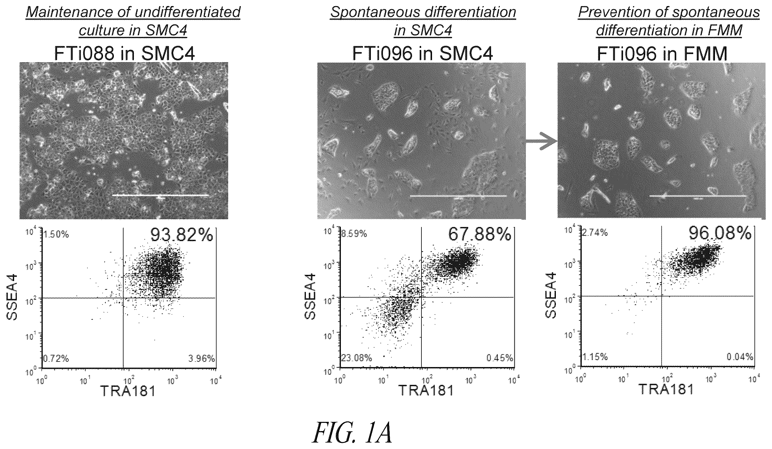 Patent US12351831 — Platform for the induction and maintenance of ground state pluripotency — Figure 1