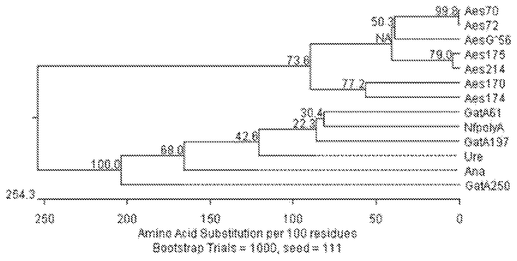 Patent US12351853 — Urethanases for the enzymatic degradation of polyurethanes — Figure 1