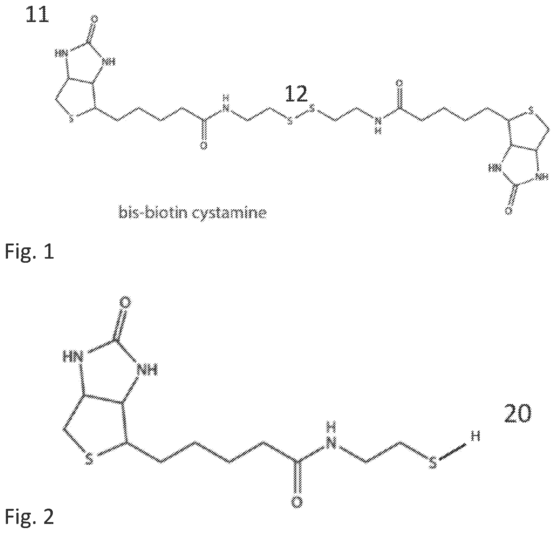 Patent US12351855 — Bioelectronic circuits, systems and methods for preparing and using them — Figure 1