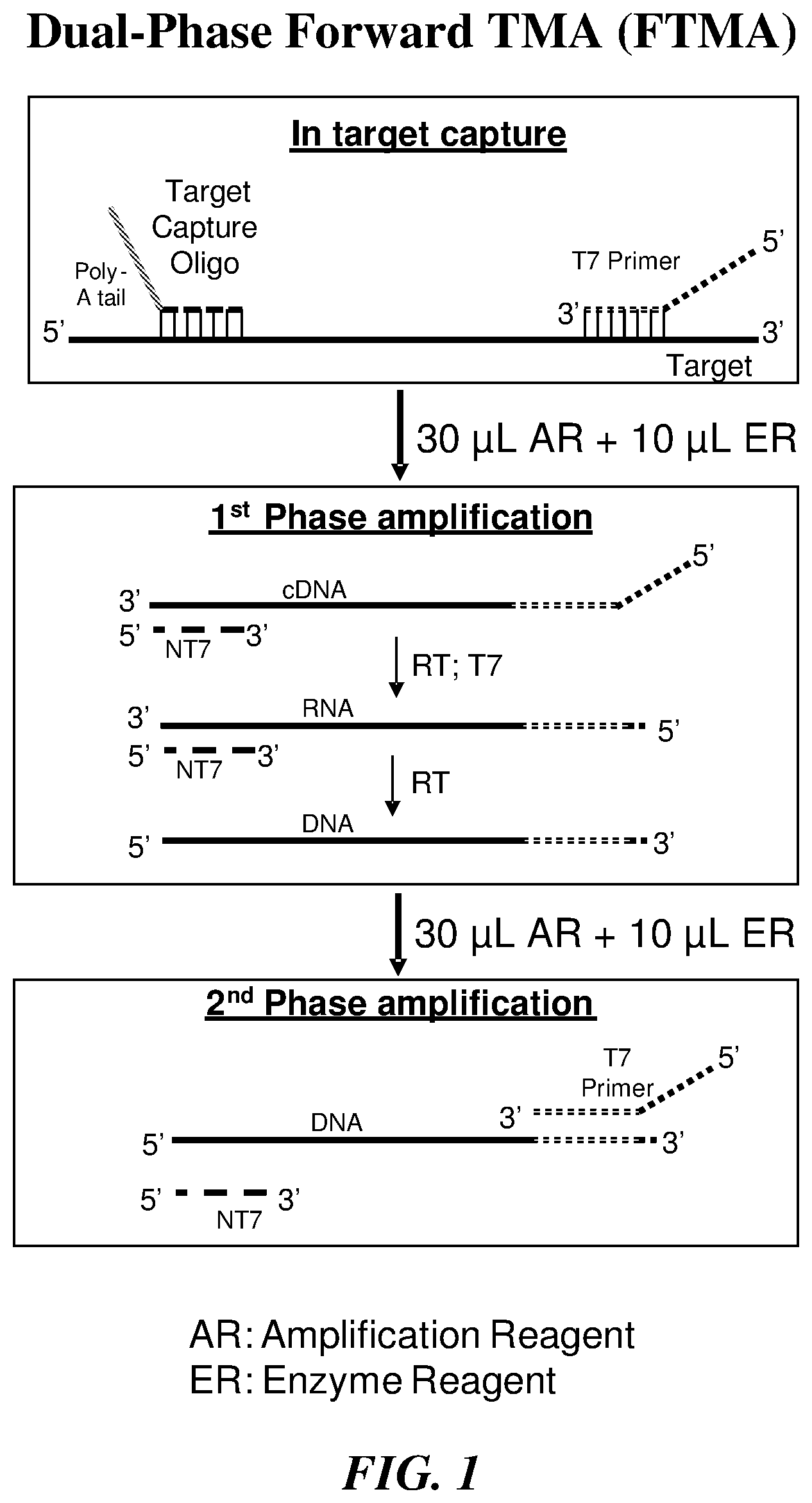 Patent US12351858 — Multiphase nucleic acid amplification — Figure 1