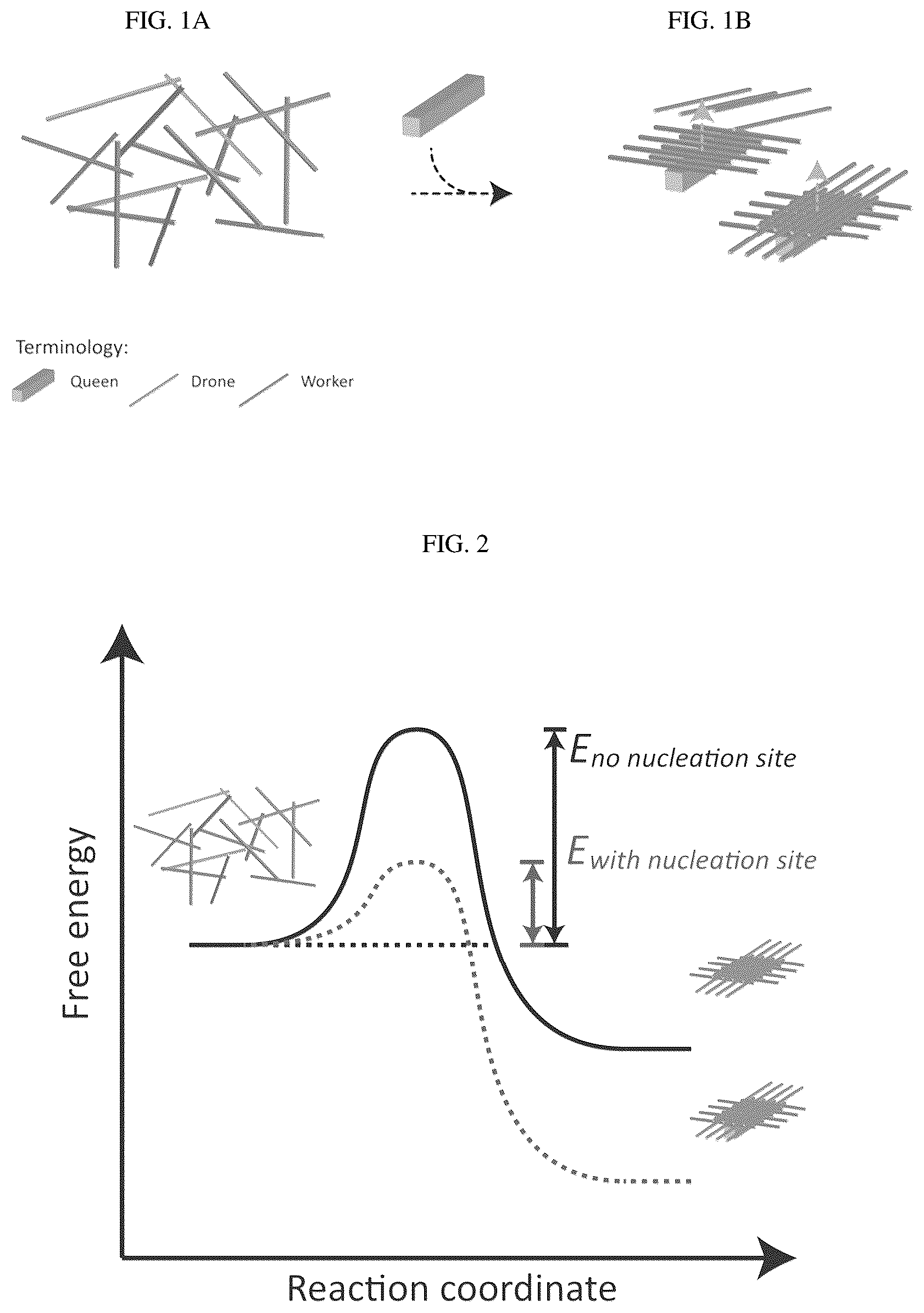 Patent US12351862 — Crisscross cooperative self-assembly — Figure 1