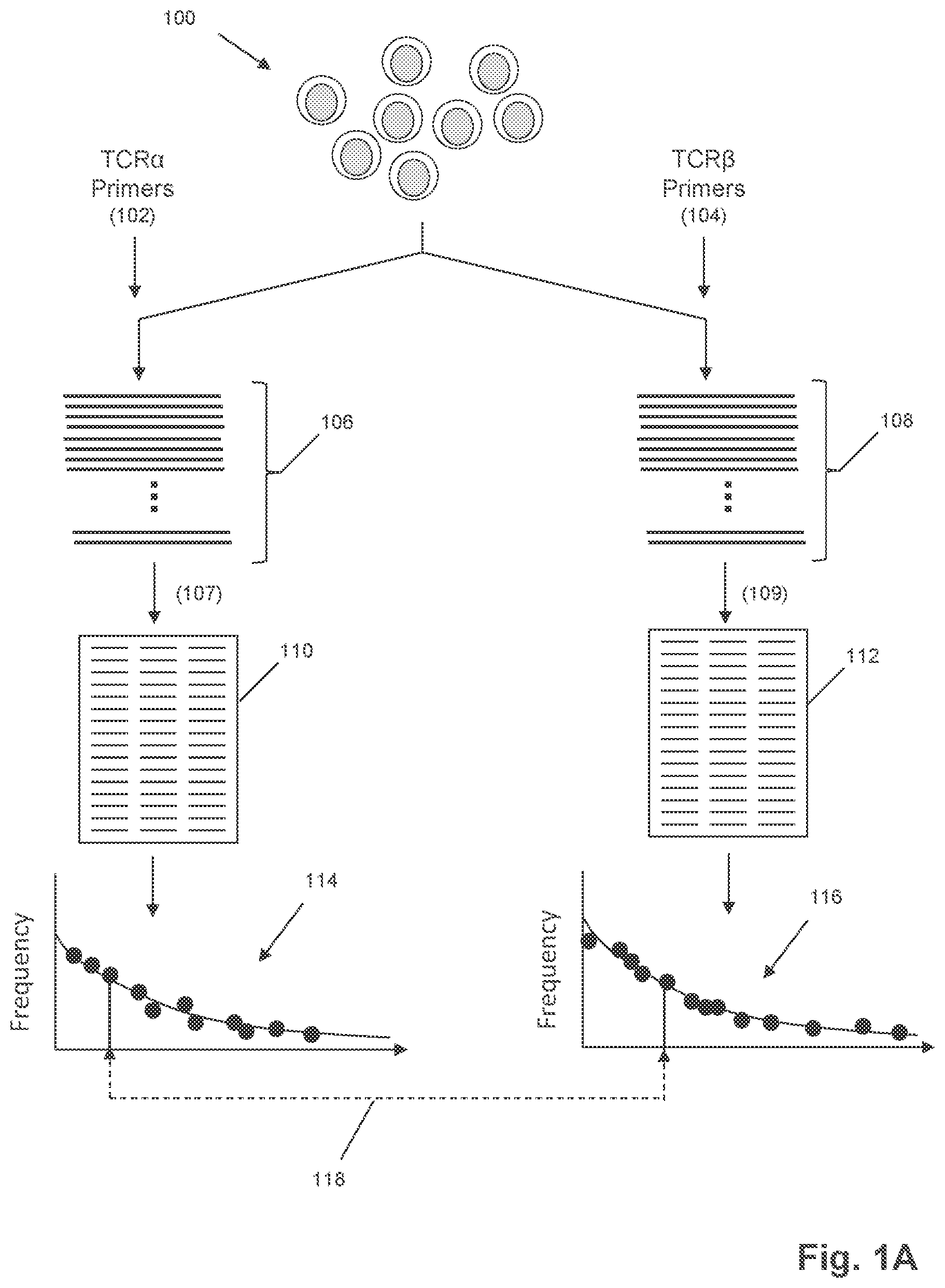 Patent US12351872 — Determining antigen-specific T-cells — Figure 1