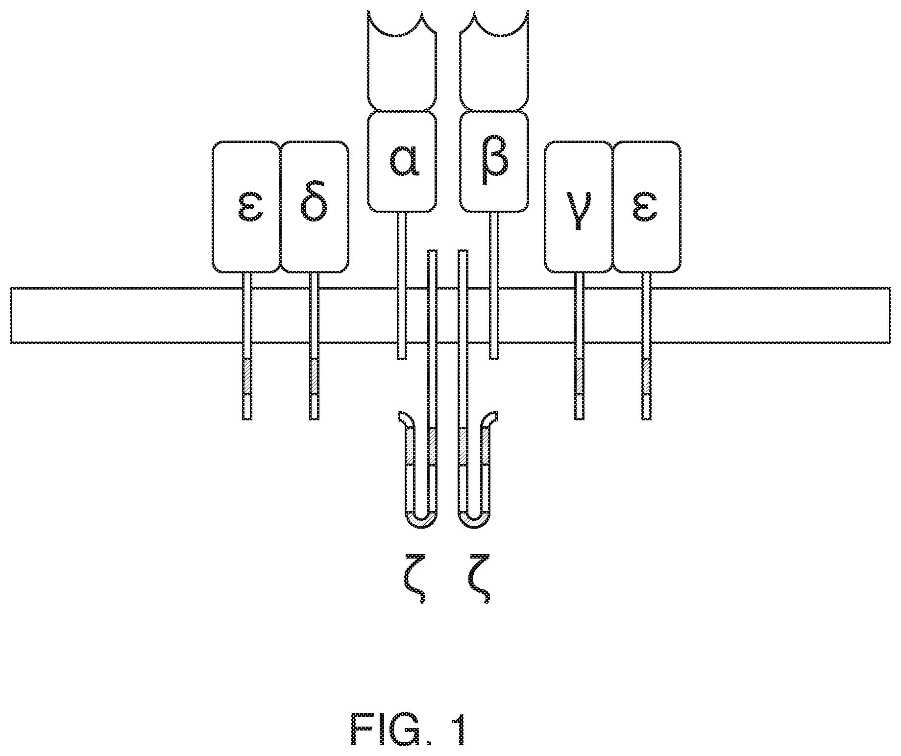 Patent US12351874 — Assessing transplant rejection status by analysis of t-cell receptor subunit repertoire diversity — Figure 1