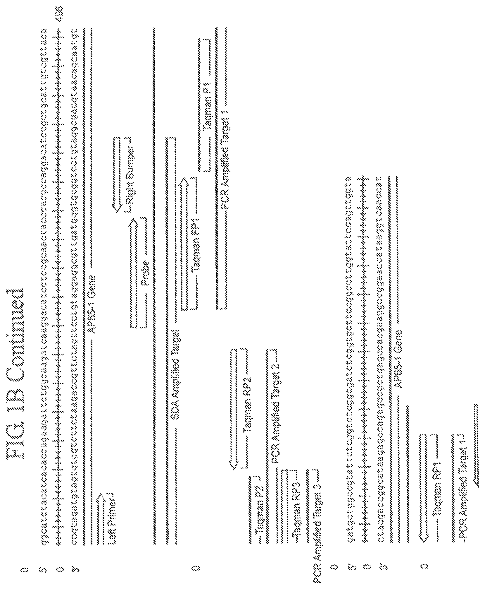 Patent US12351881 Figure 3 – Assay for trichomonas vaginalis by amplification and detection of trichomonas vaginalis AP65-1 gene
