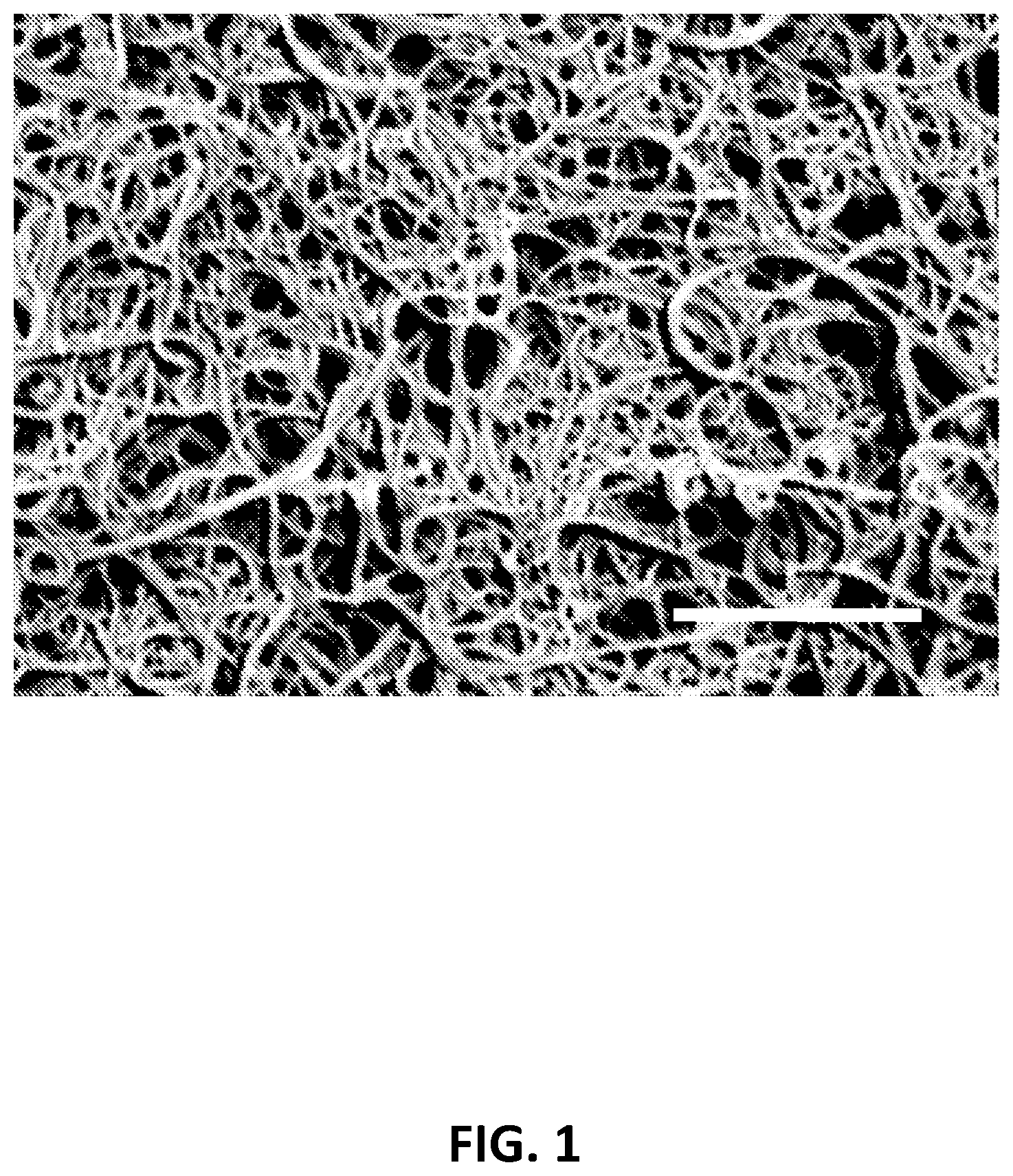 Patent US12351893 — 3D printers and feedstocks for 3D printers — Figure 1