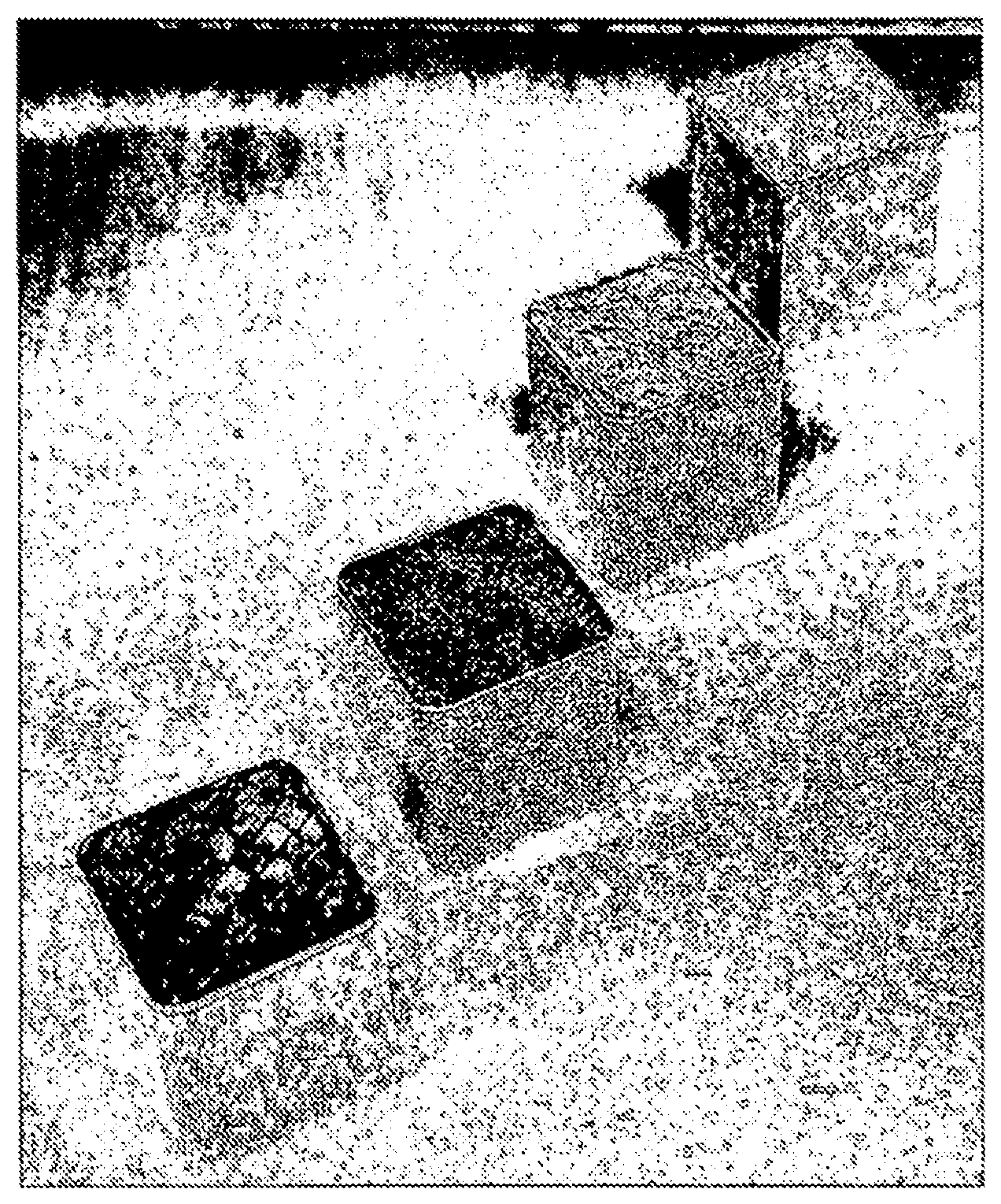 Patent US12351894 Figure 1 – Powder made of a cobalt-chromium alloy