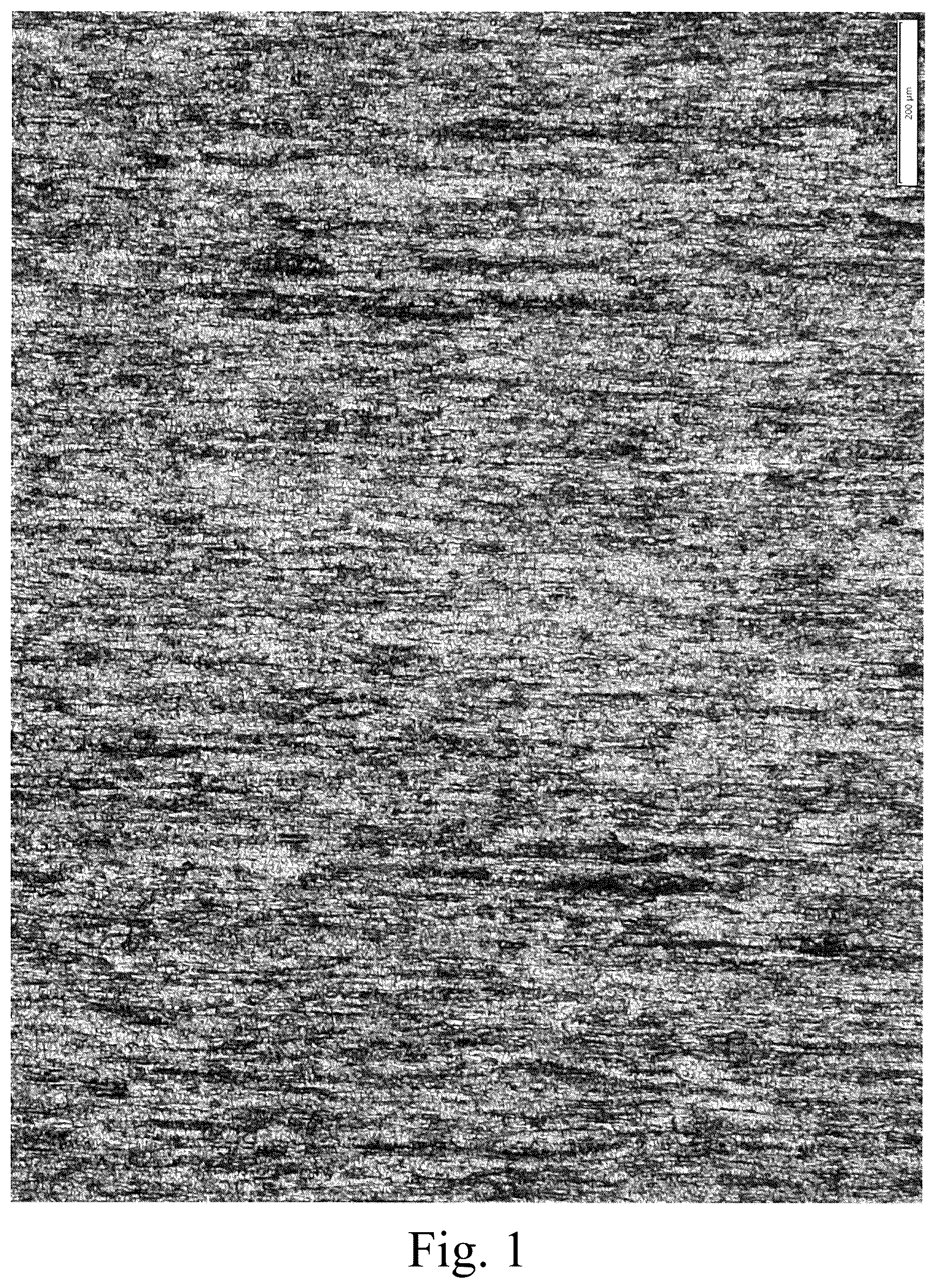 Patent US12351922 — Roughening treatment method for stainless steel surface, method for manufacturing roughened stainless steel, and aqueous composition used in said methods — Figure 1