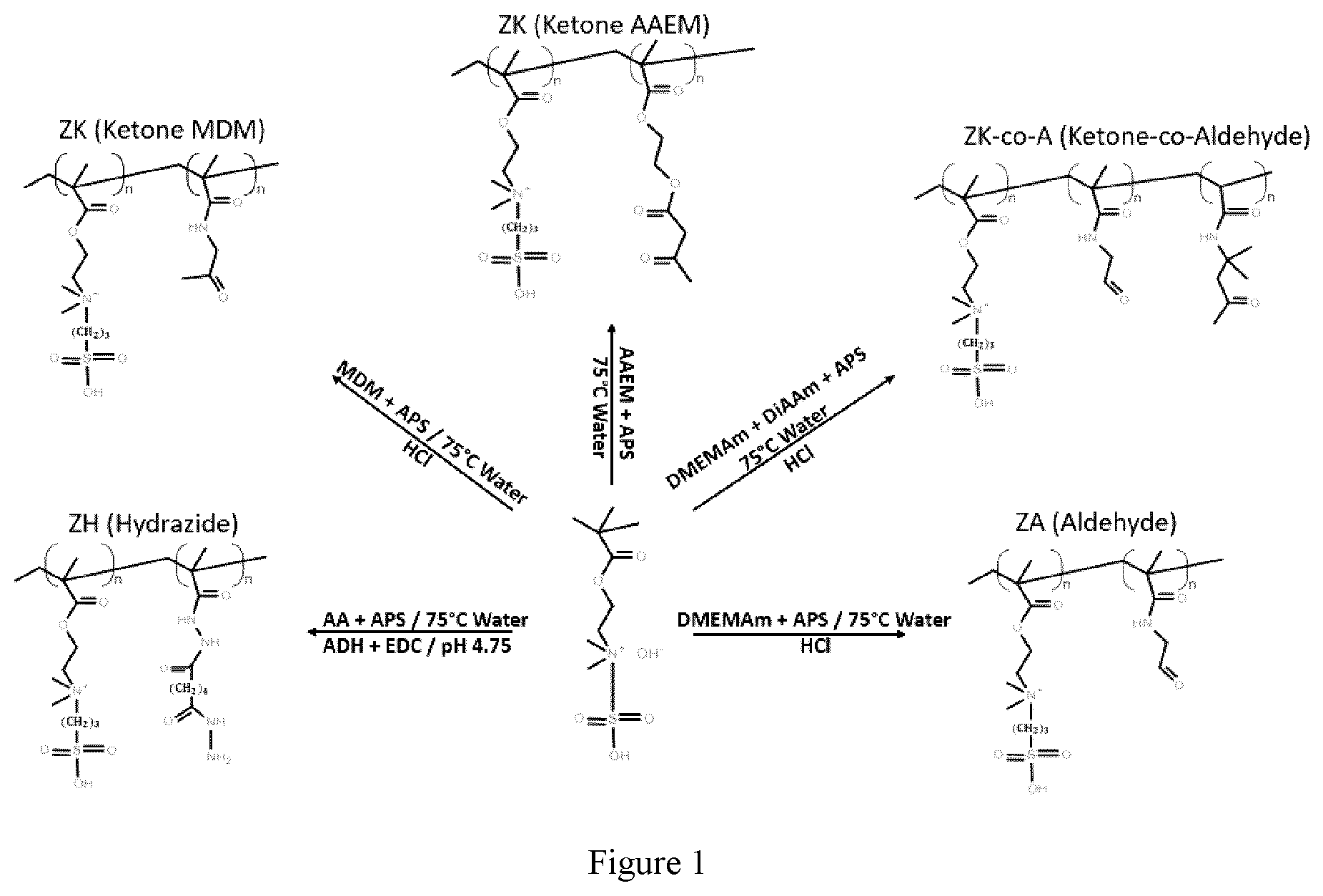 Patent US12359026 — In situ gelling zwitterionic hydrogel compositions, and methods of use thereof — Figure 1