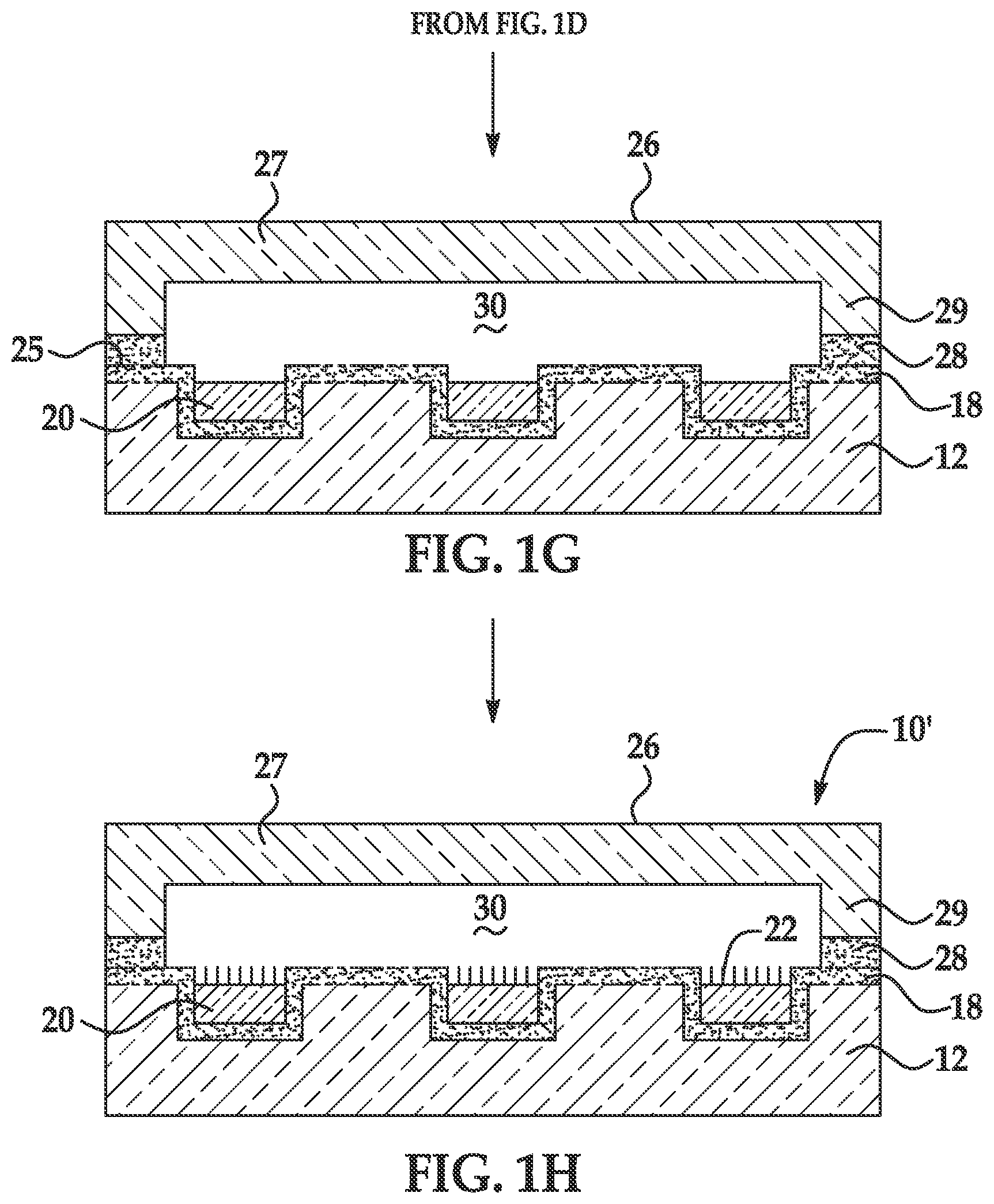 Patent US12359053 Figure 3 – Flow cell including a heteropolymer