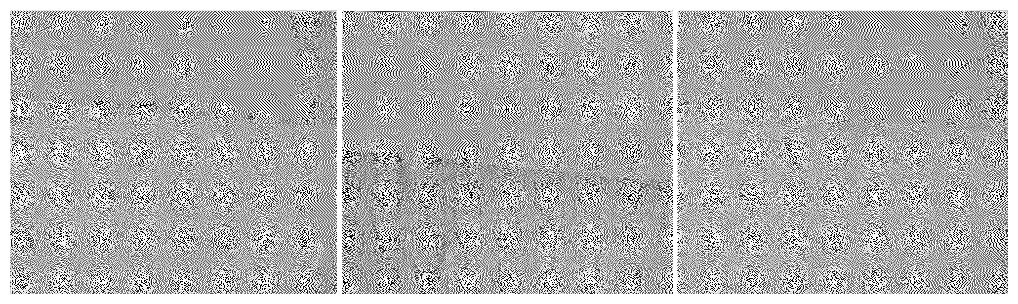 Patent US12359073 — Aqueous coating-film-forming composition for forming lubricating coating film, and air bag using said composition — Figure 1