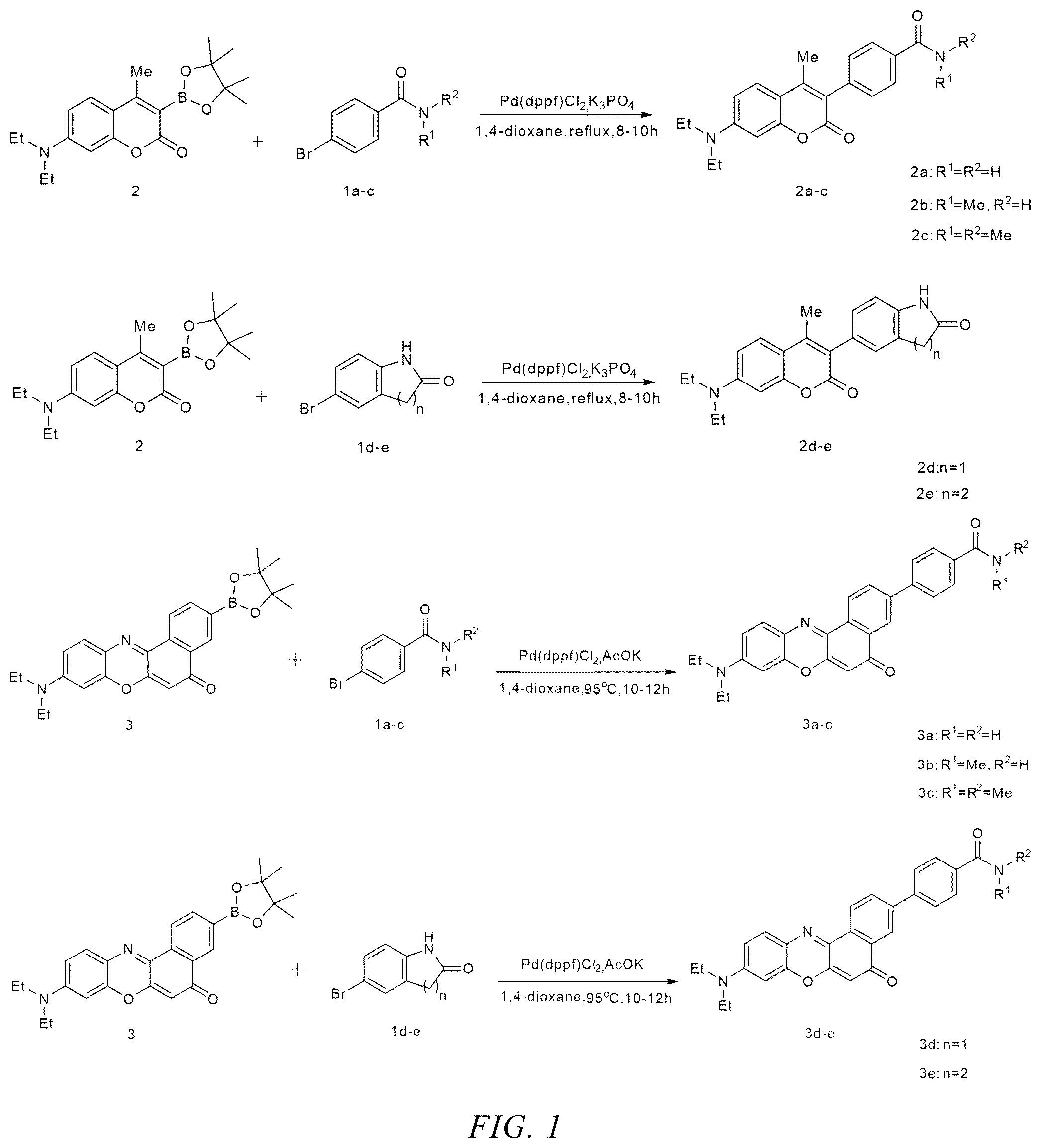 Patent US12359121 — Neutral fluorescent mitochondrial marker as amide derivative, and preparation method and use thereof — Figure 1