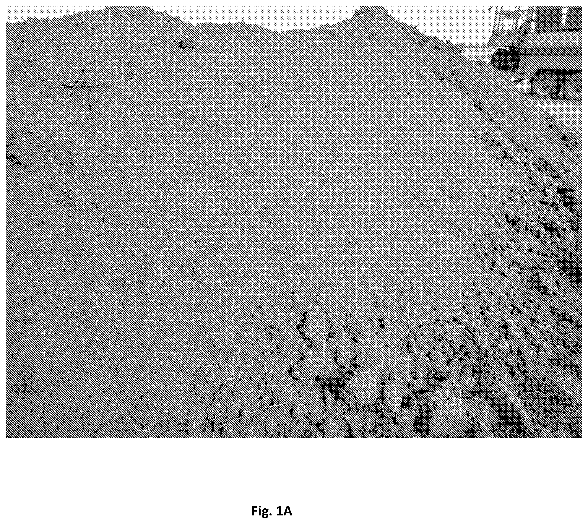 Patent US12359126 — Hydromulch composition and method of use thereof — Figure 1