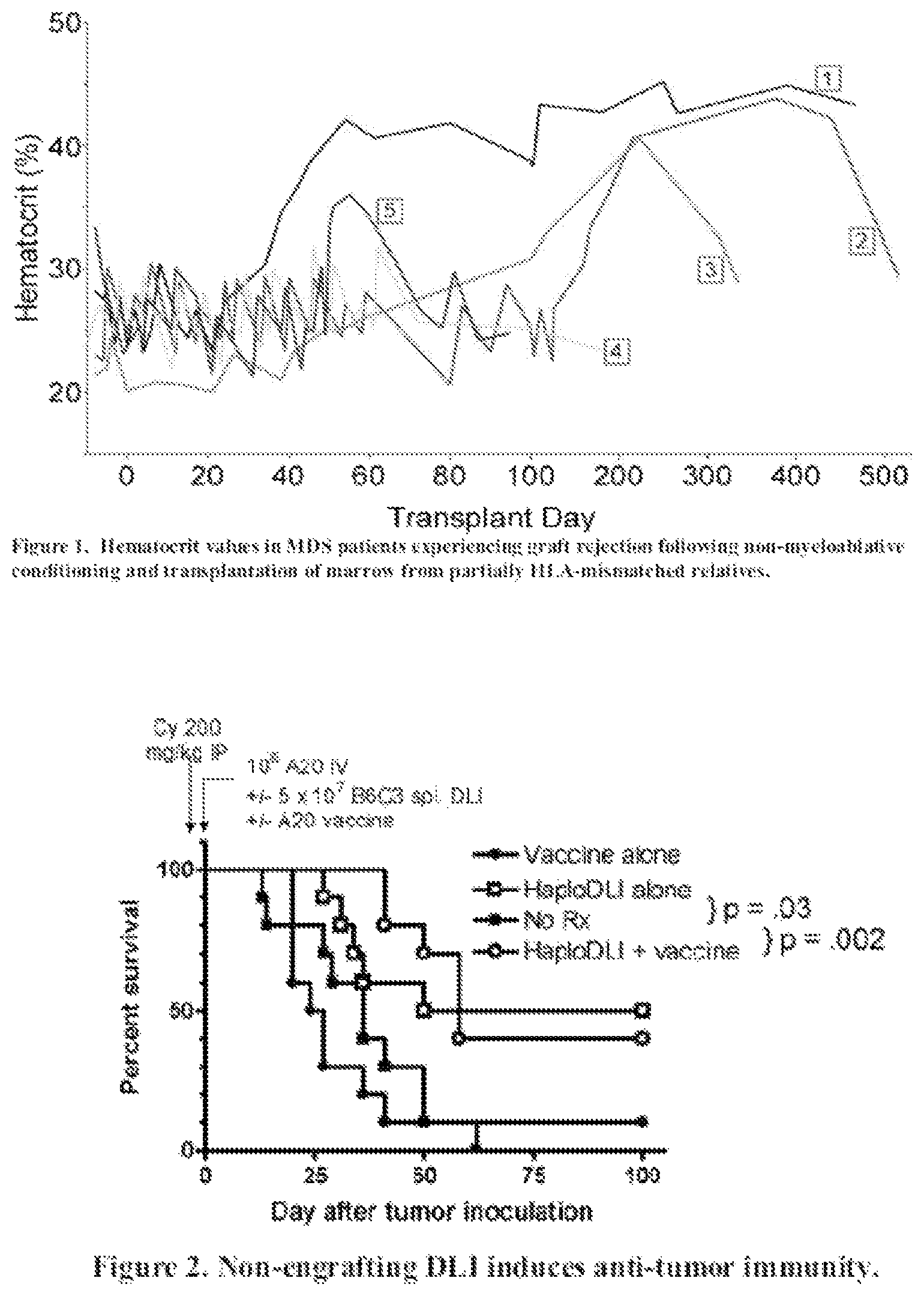 Patent US12359167 Figure 1 – Methods and compositions for infusion of transiently engrafting, selected populations of allogeneic lymphocytes to treat cancer