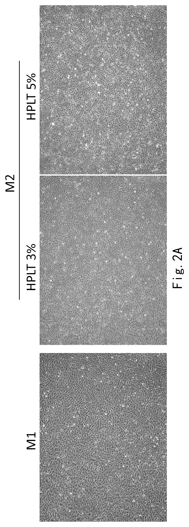 Patent US12359173 Figure 2 – Serum-free and xeno-free culture medium for expanding mesenchymal stem cells
