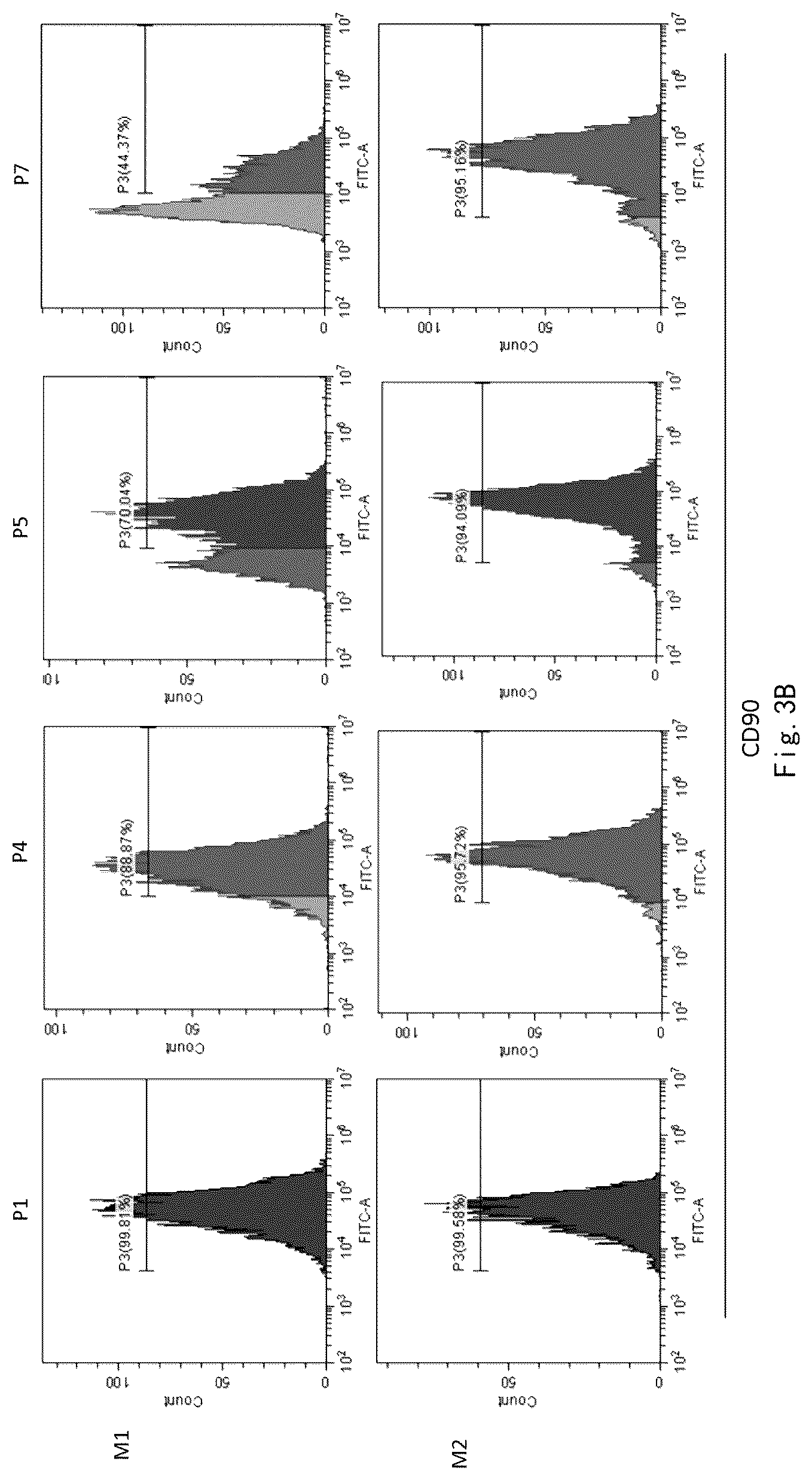 Patent US12359173 Figure 4 – Serum-free and xeno-free culture medium for expanding mesenchymal stem cells