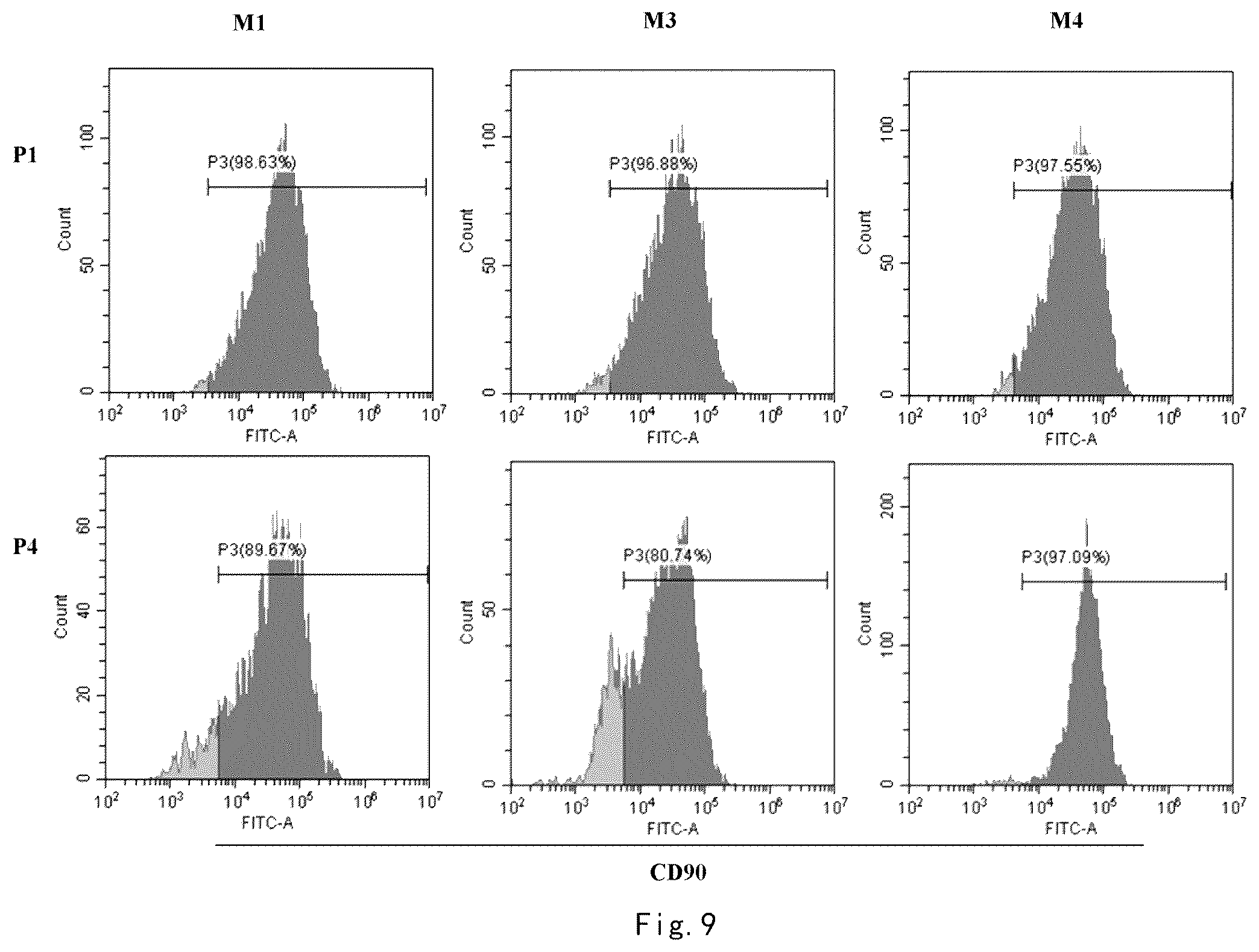 Patent US12359173 Figure 10 – Serum-free and xeno-free culture medium for expanding mesenchymal stem cells