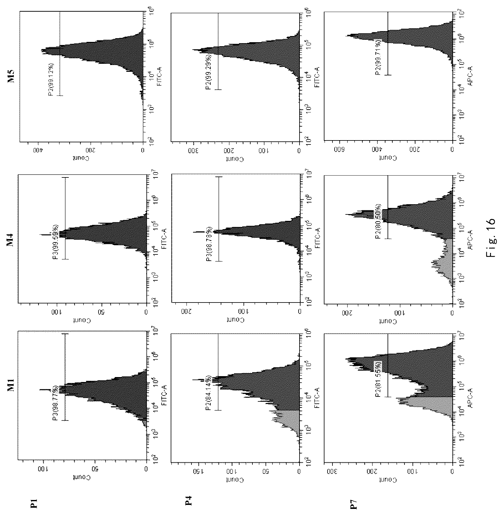 Patent US12359173 Figure 18 – Serum-free and xeno-free culture medium for expanding mesenchymal stem cells
