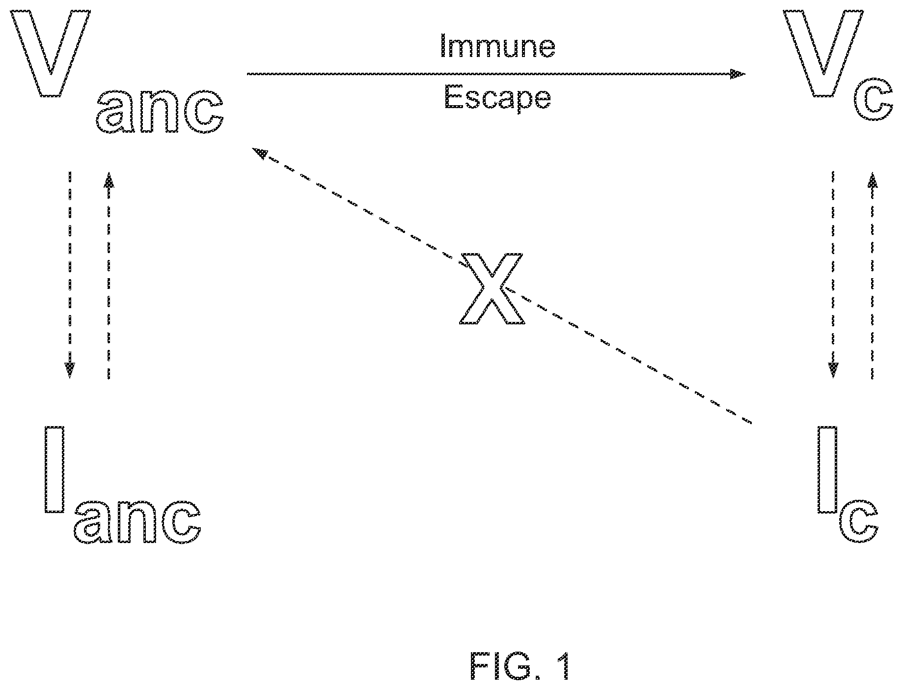 Patent US12359174 Figure 1 – Methods of predicting ancestral virus sequences and uses thereof