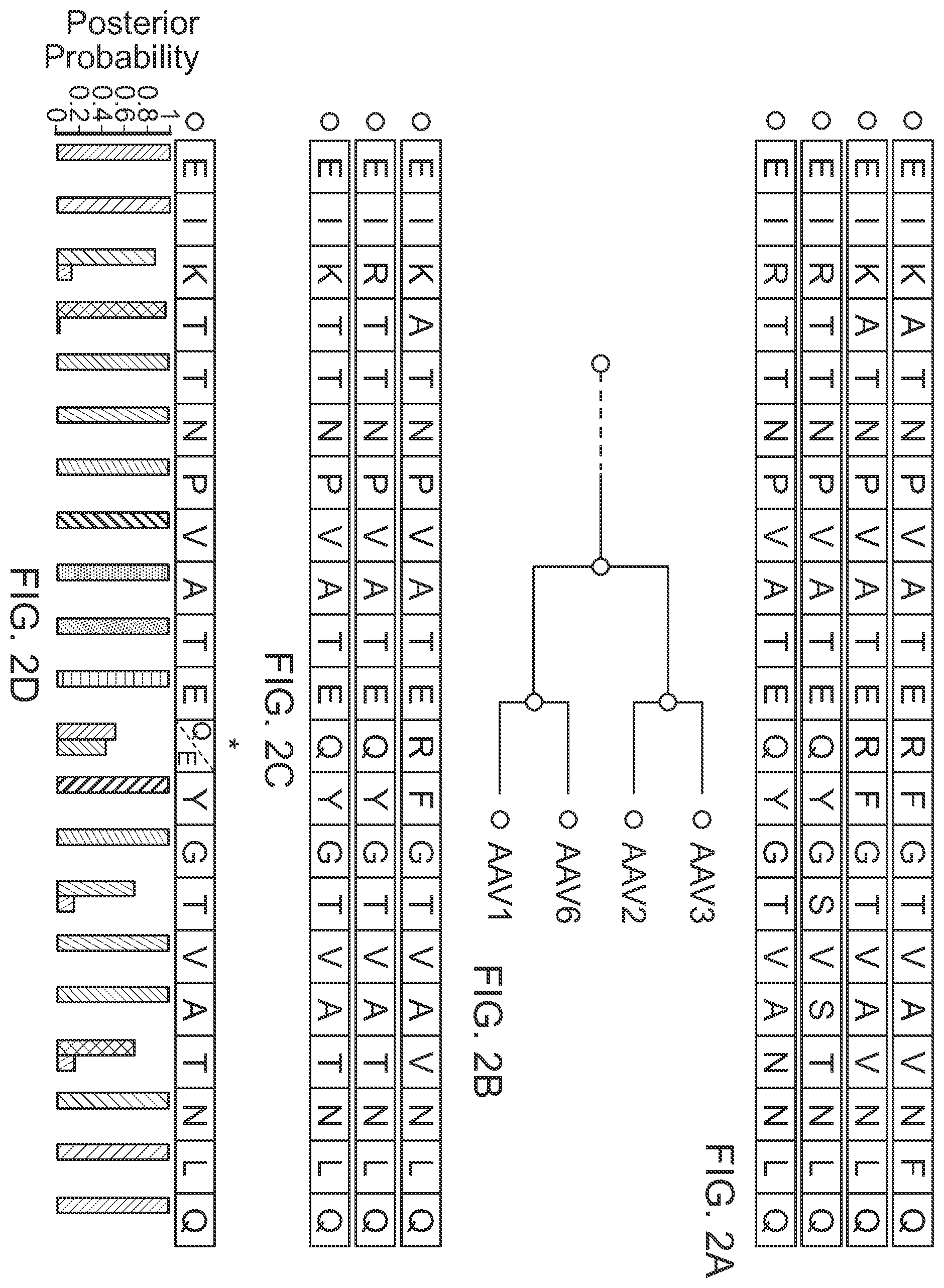 Patent US12359174 Figure 2 – Methods of predicting ancestral virus sequences and uses thereof