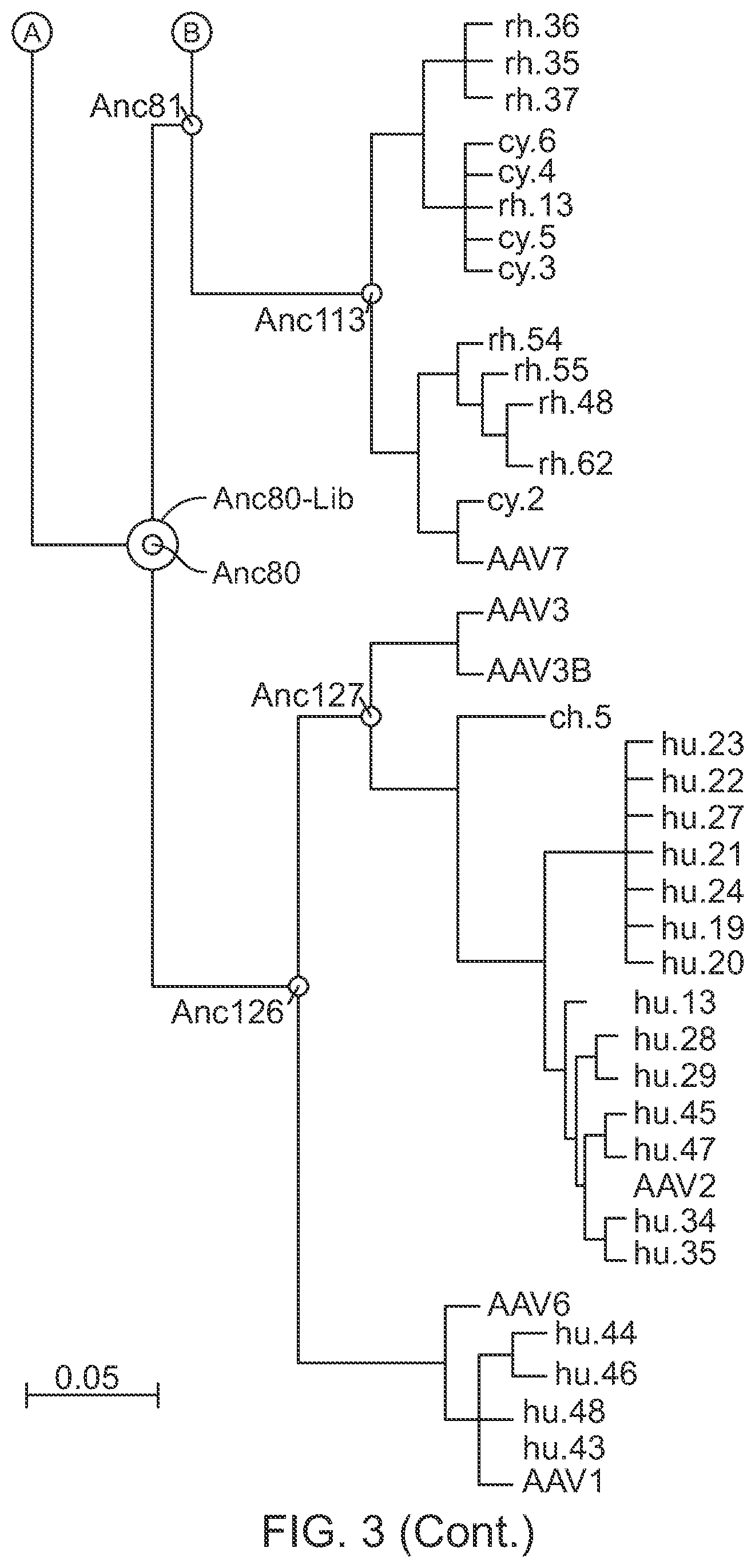 Patent US12359174 Figure 4 – Methods of predicting ancestral virus sequences and uses thereof