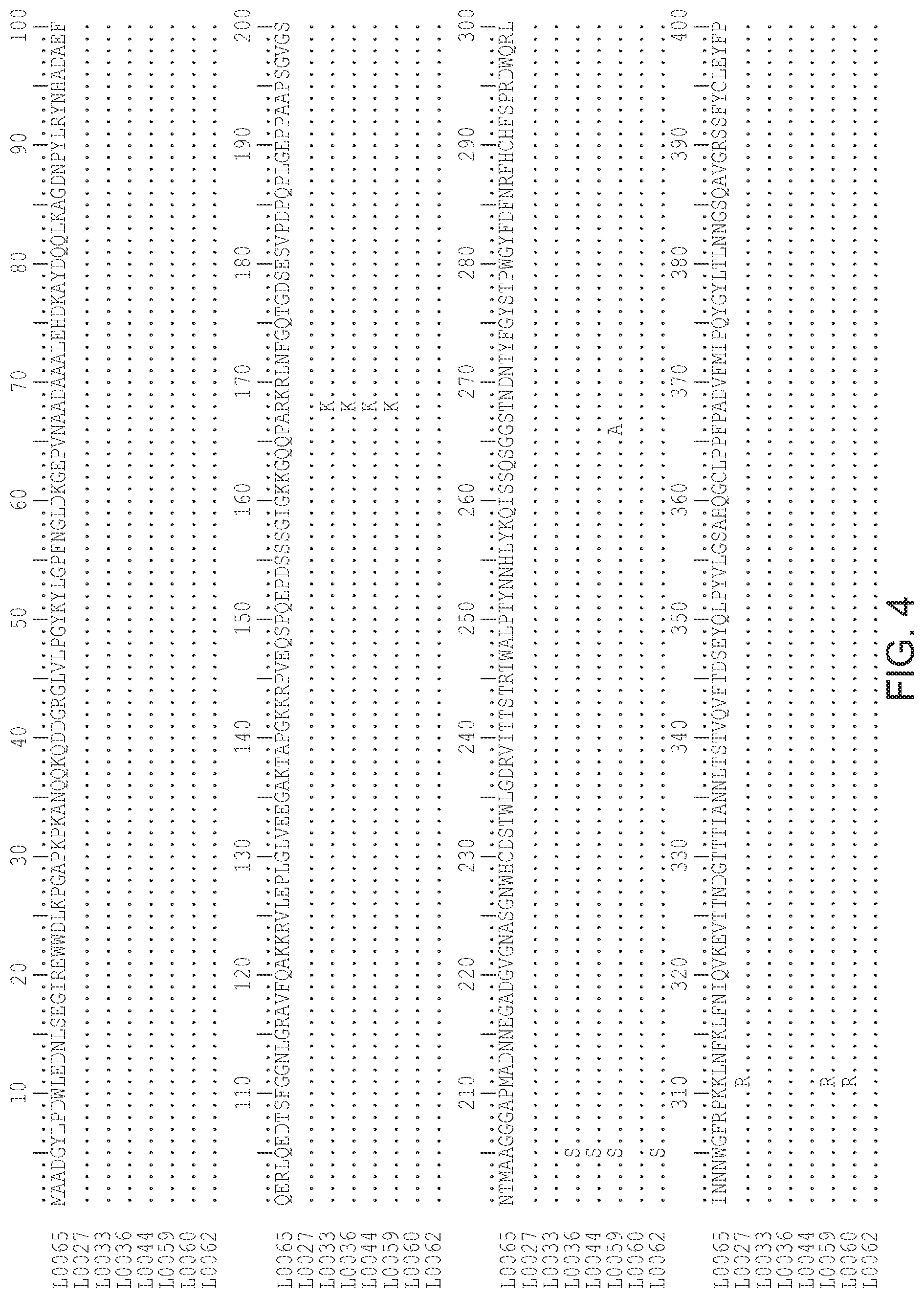 Patent US12359174 Figure 5 – Methods of predicting ancestral virus sequences and uses thereof