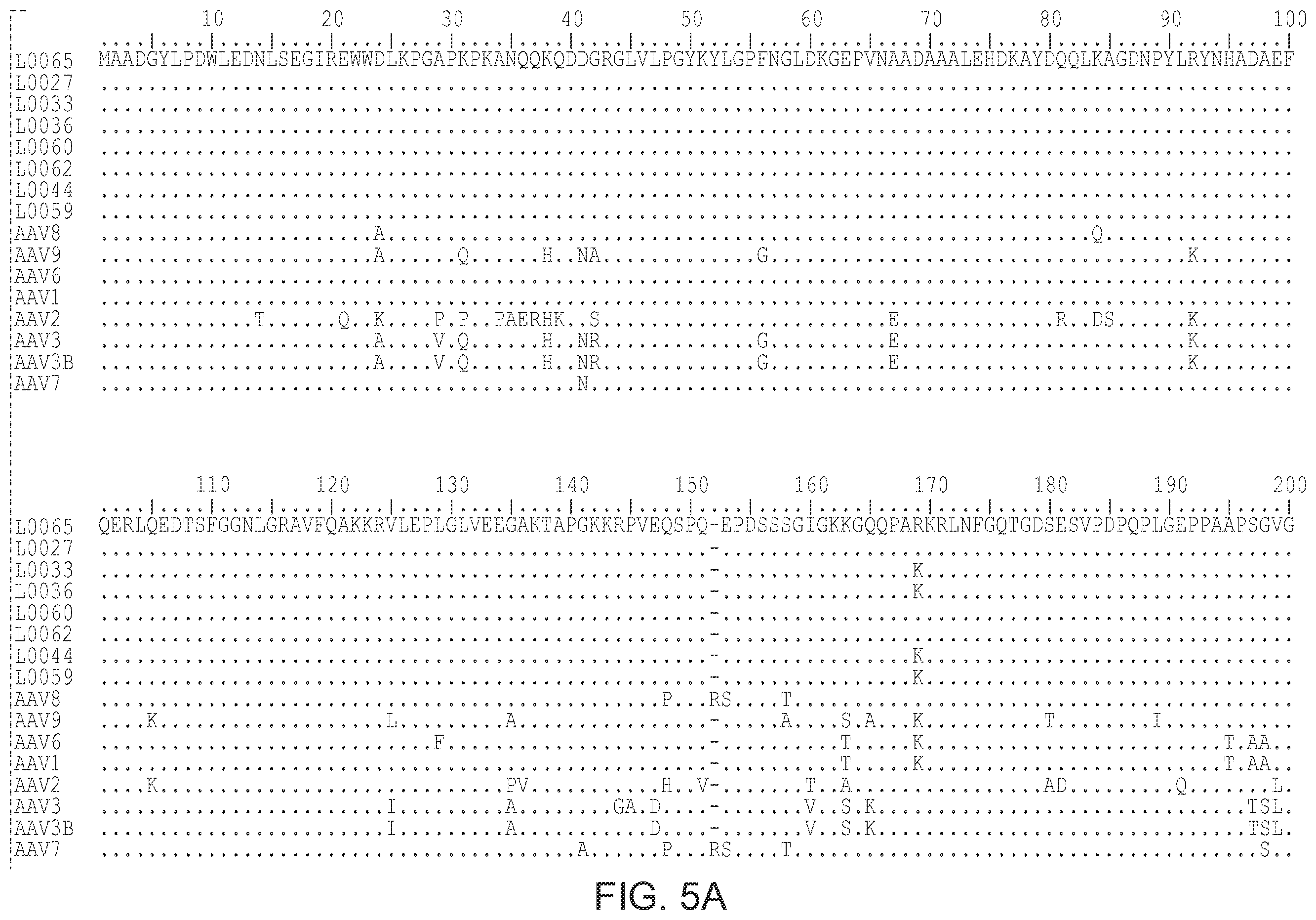Patent US12359174 Figure 7 – Methods of predicting ancestral virus sequences and uses thereof