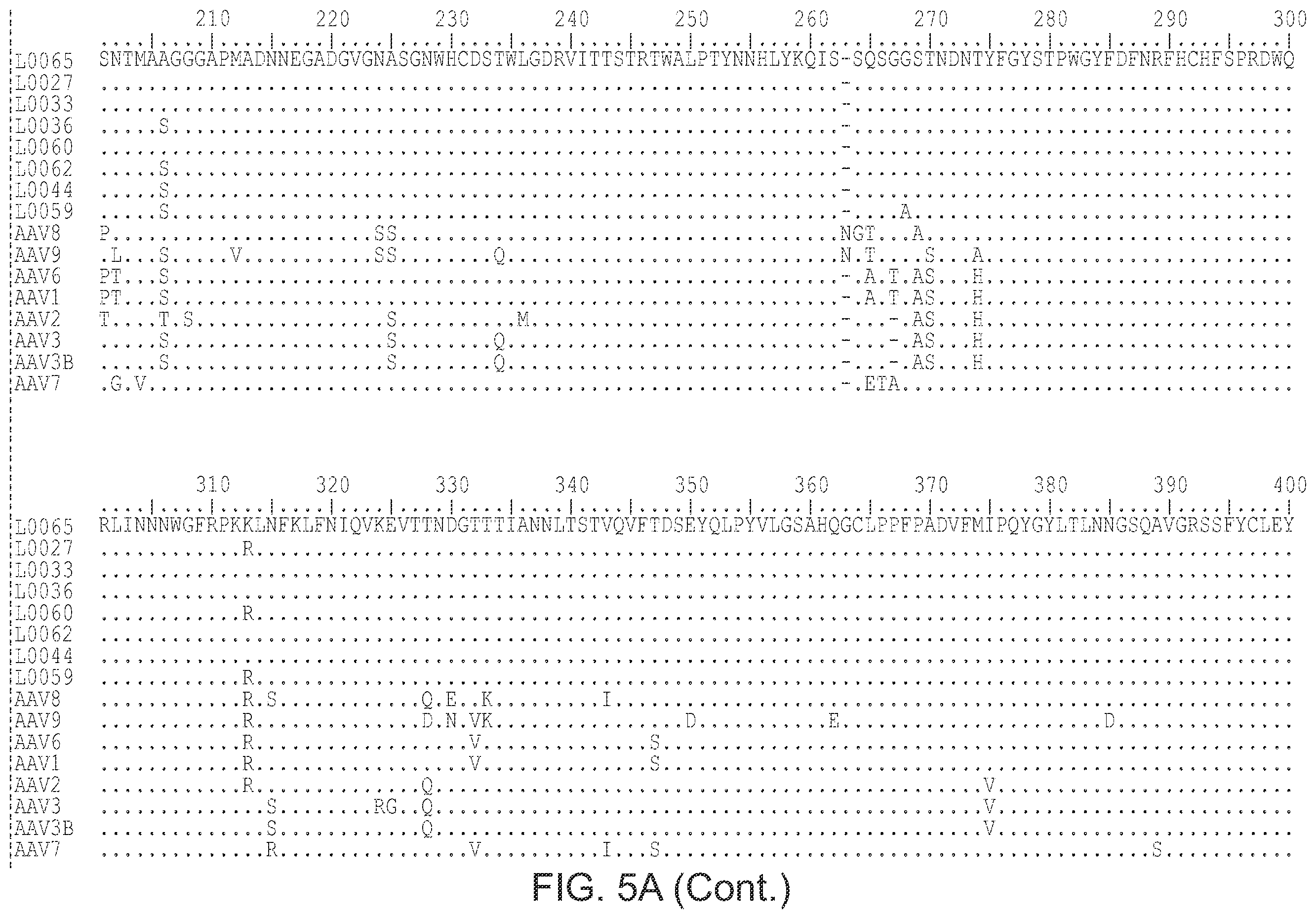 Patent US12359174 Figure 8 – Methods of predicting ancestral virus sequences and uses thereof